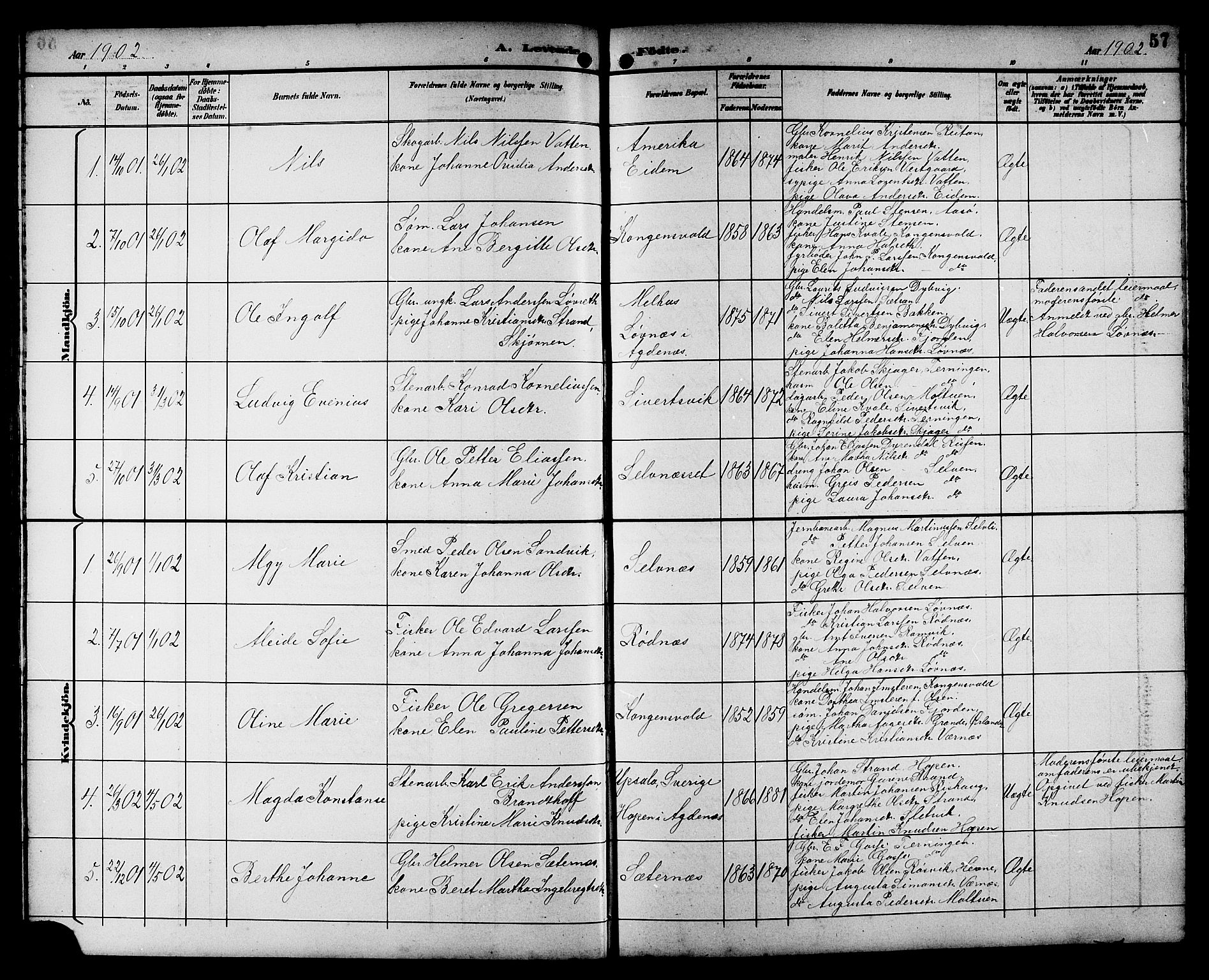 Ministerialprotokoller, klokkerbøker og fødselsregistre - Sør-Trøndelag, SAT/A-1456/662/L0757: Parish register (copy) no. 662C02, 1892-1918, p. 57