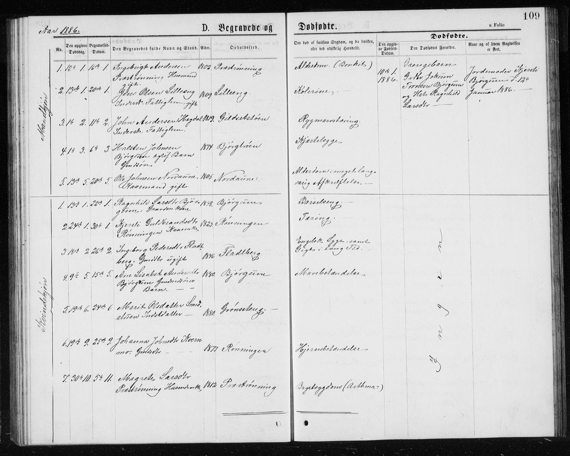 Ministerialprotokoller, klokkerbøker og fødselsregistre - Sør-Trøndelag, SAT/A-1456/685/L0977: Parish register (copy) no. 685C02, 1879-1890, p. 109