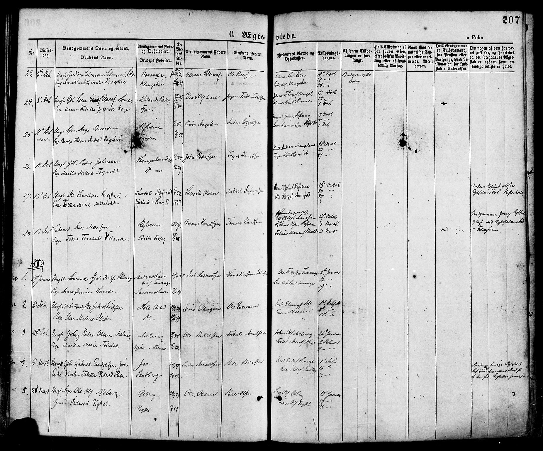 Håland sokneprestkontor, SAST/A-101802/001/30BA/L0009: Parish register (official) no. A 8, 1871-1882, p. 207