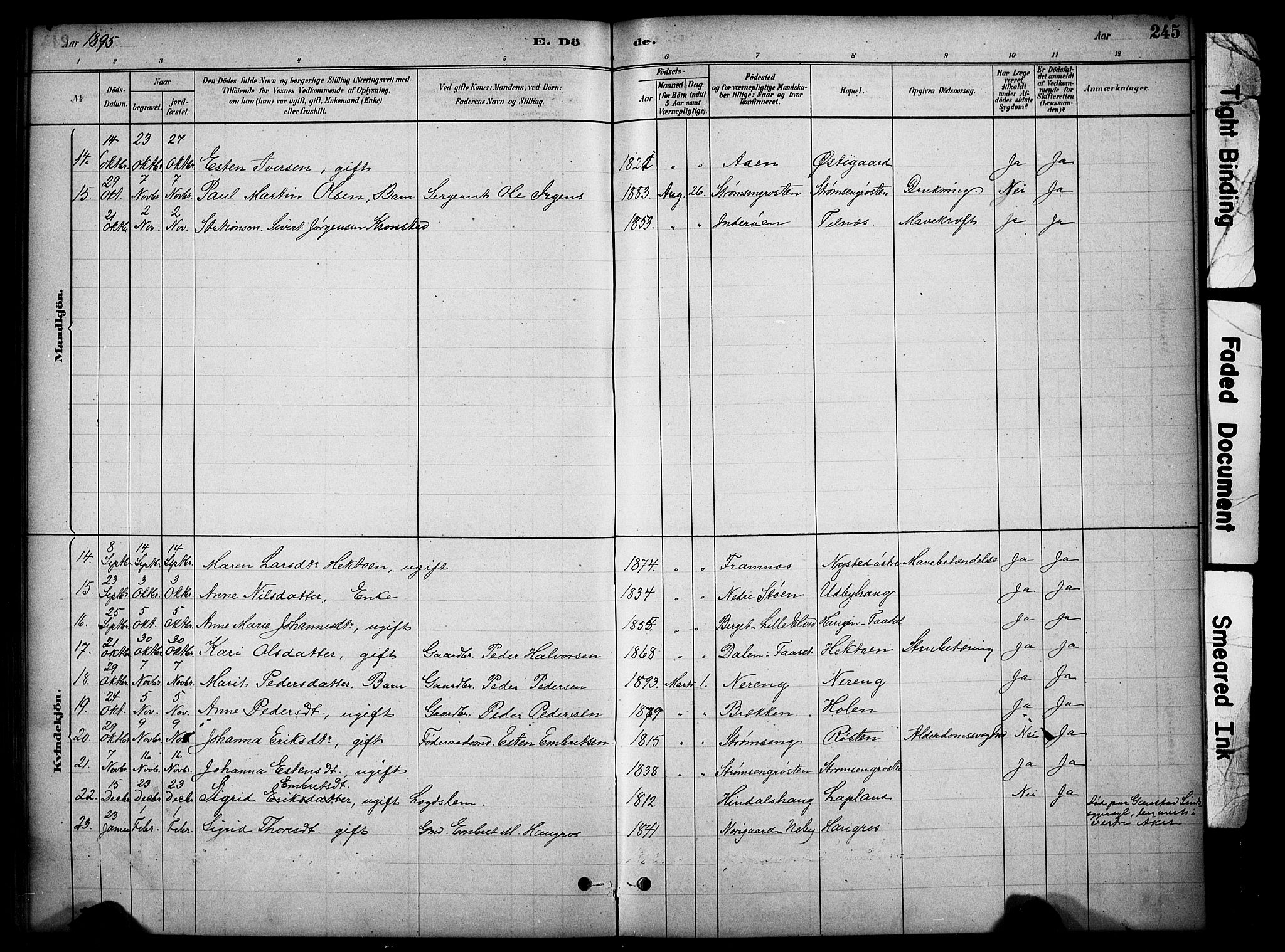 Tynset prestekontor, SAH/PREST-058/H/Ha/Hab/L0006: Parish register (copy) no. 6, 1880-1899, p. 245