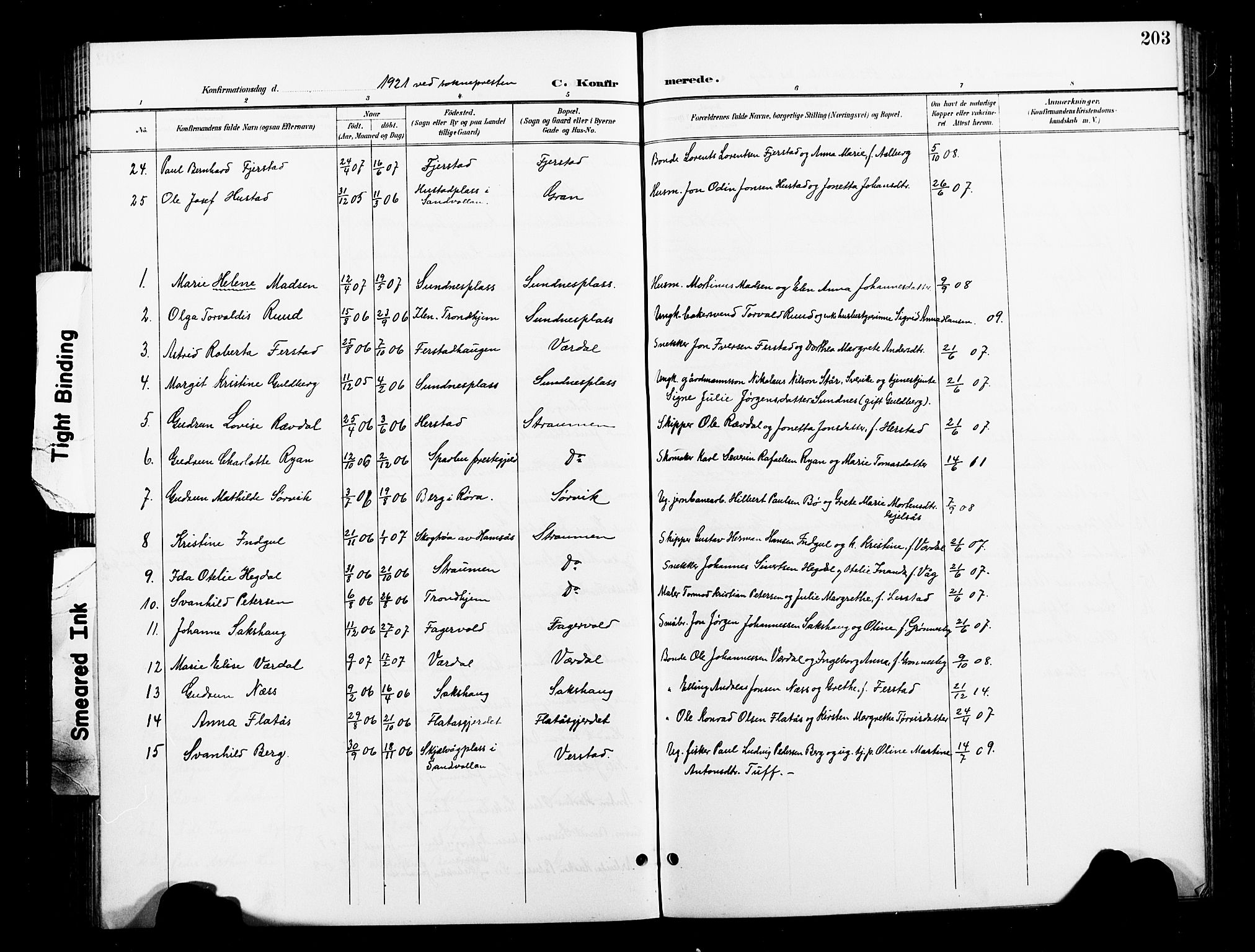 Ministerialprotokoller, klokkerbøker og fødselsregistre - Nord-Trøndelag, AV/SAT-A-1458/730/L0302: Parish register (copy) no. 730C05, 1898-1924, p. 203