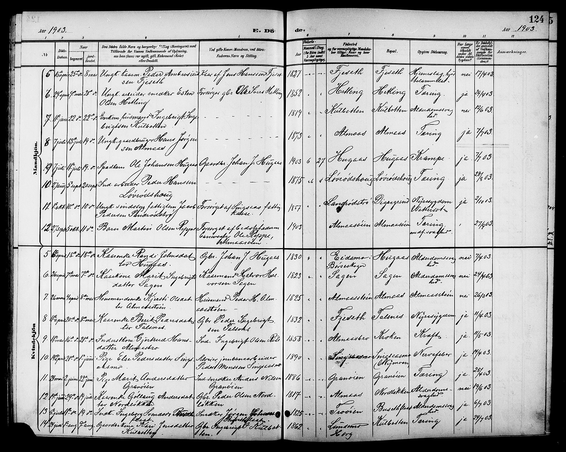 Ministerialprotokoller, klokkerbøker og fødselsregistre - Sør-Trøndelag, SAT/A-1456/688/L1029: Parish register (copy) no. 688C04, 1899-1915, p. 124