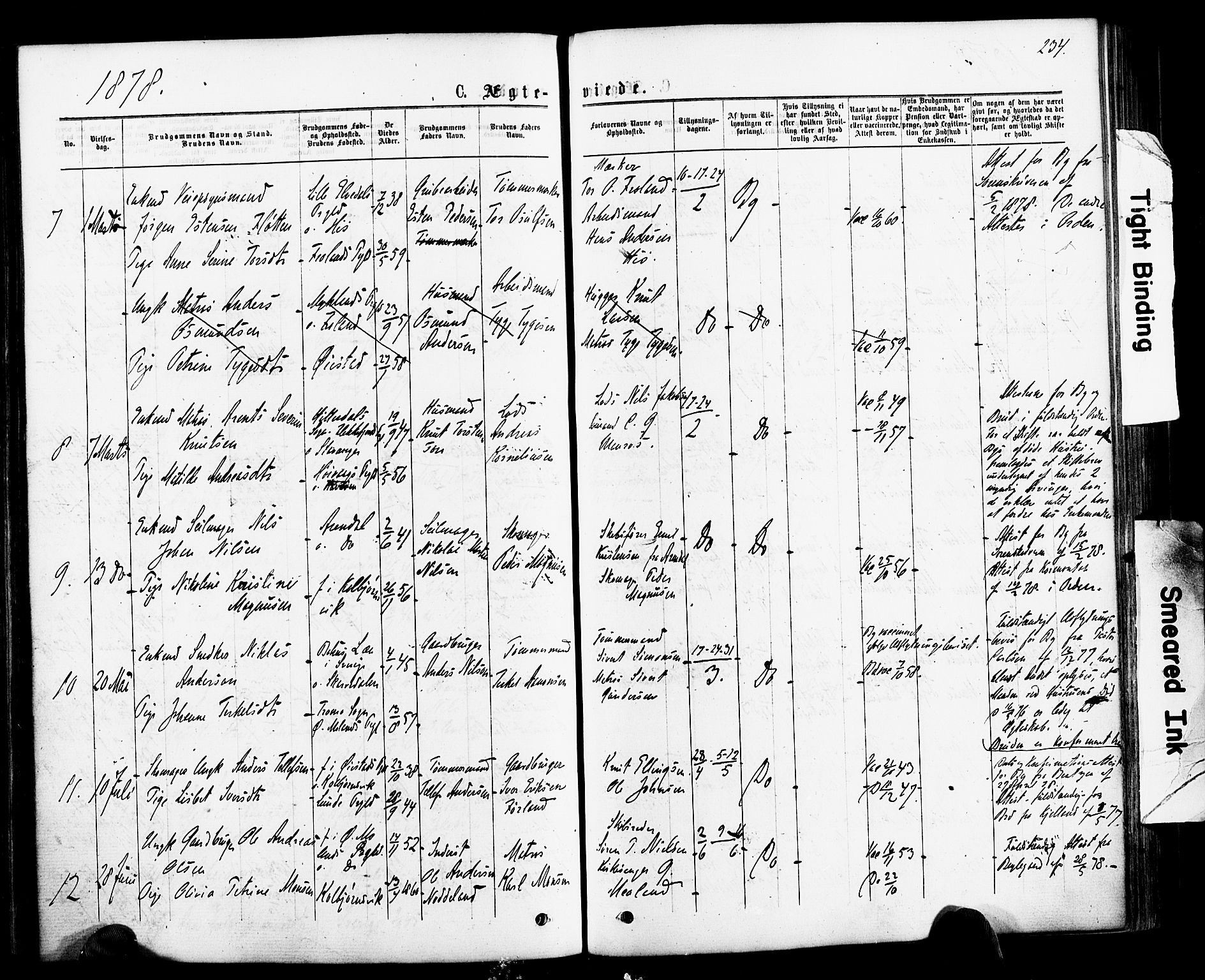 Hisøy sokneprestkontor, SAK/1111-0020/F/Fa/L0002: Parish register (official) no. A 2, 1872-1880, p. 234