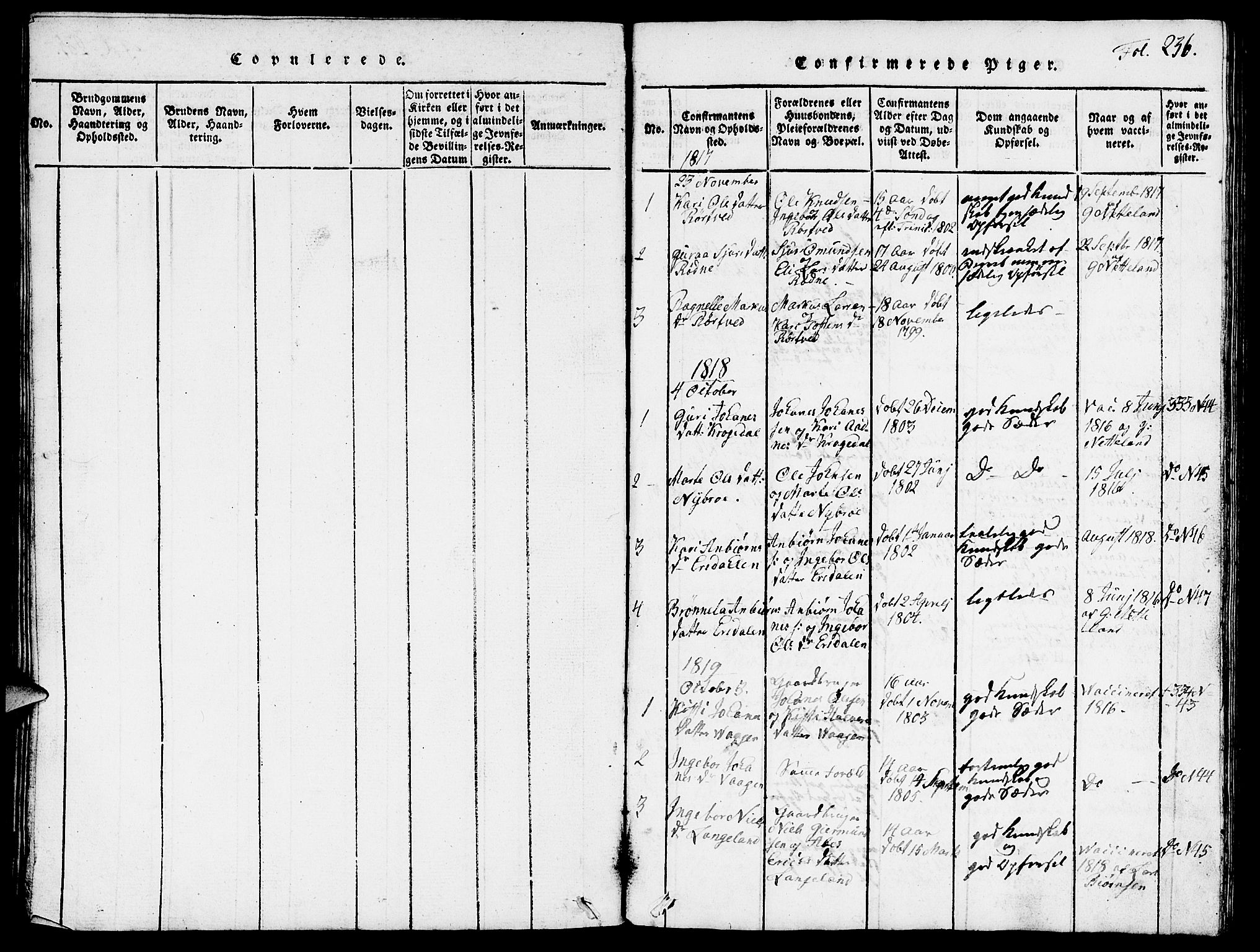 Vikedal sokneprestkontor, SAST/A-101840/01/V: Parish register (copy) no. B 3, 1816-1867, p. 236