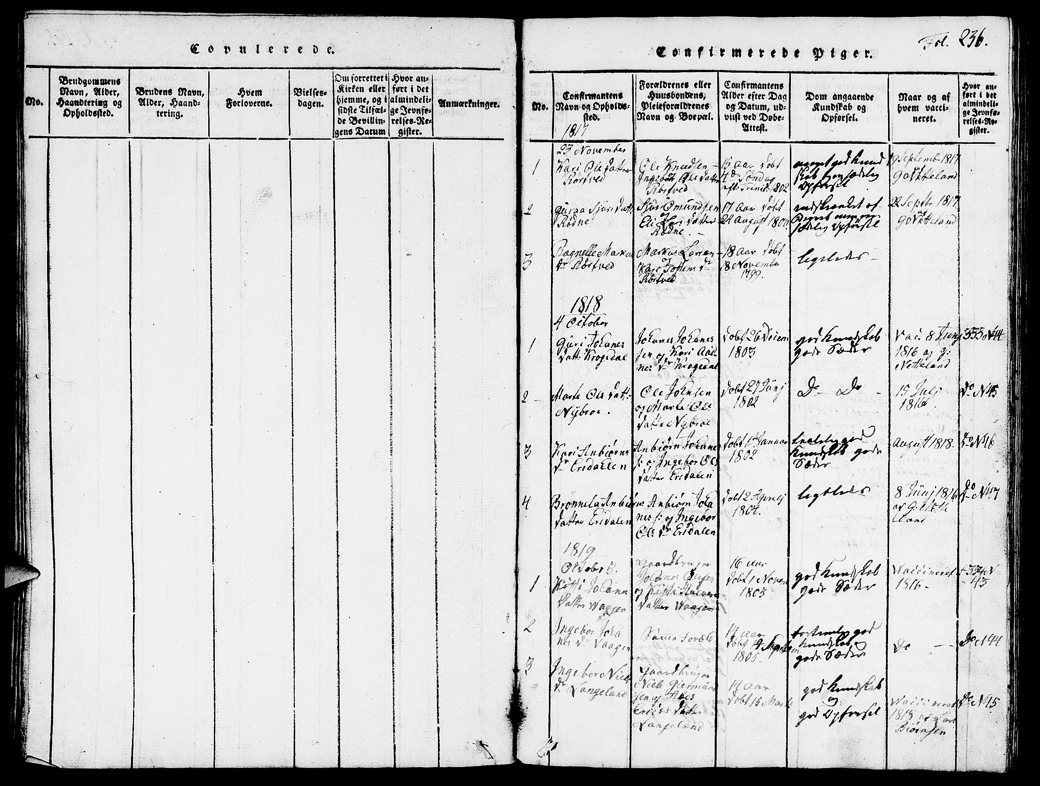 Vikedal sokneprestkontor, AV/SAST-A-101840/01/V: Parish register (copy) no. B 3, 1816-1867, p. 236