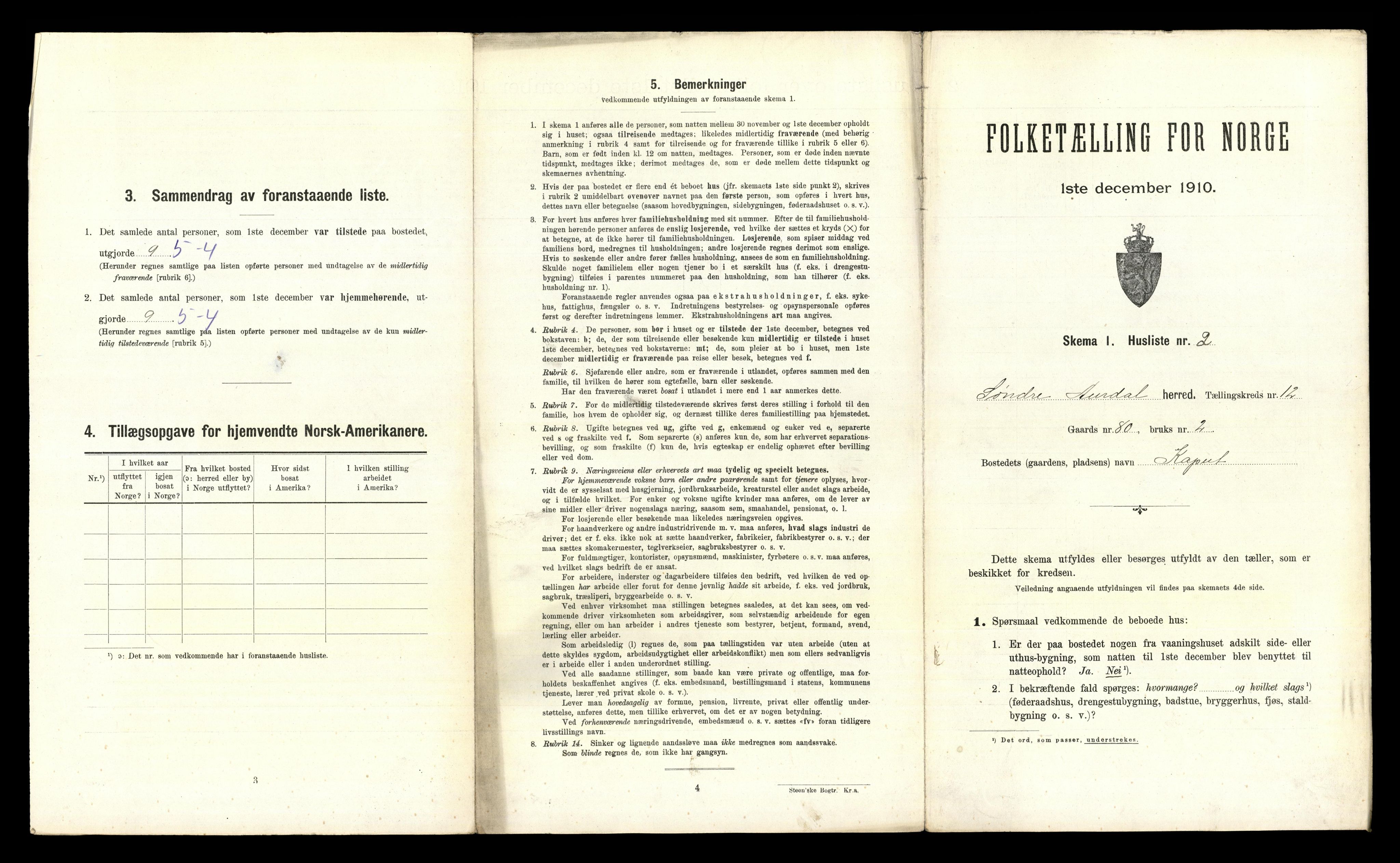 RA, 1910 census for Sør-Aurdal, 1910, p. 1199