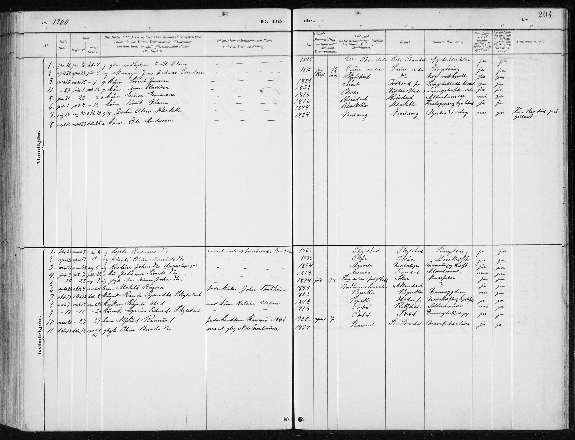 Ministerialprotokoller, klokkerbøker og fødselsregistre - Møre og Romsdal, AV/SAT-A-1454/515/L0215: Parish register (copy) no. 515C02, 1884-1906, p. 204