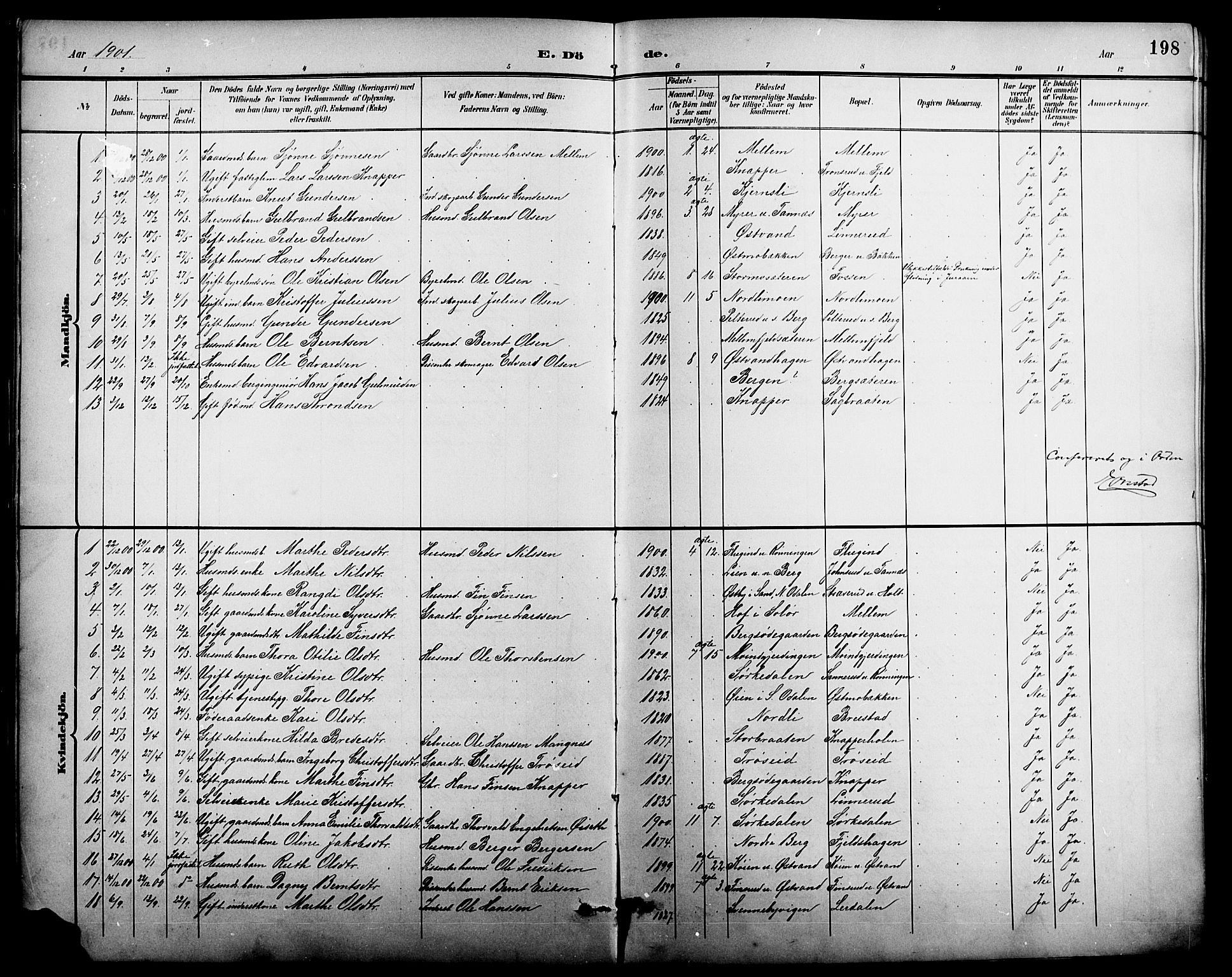 Nord-Odal prestekontor, AV/SAH-PREST-032/H/Ha/Hab/L0002: Parish register (copy) no. 2, 1895-1921, p. 198