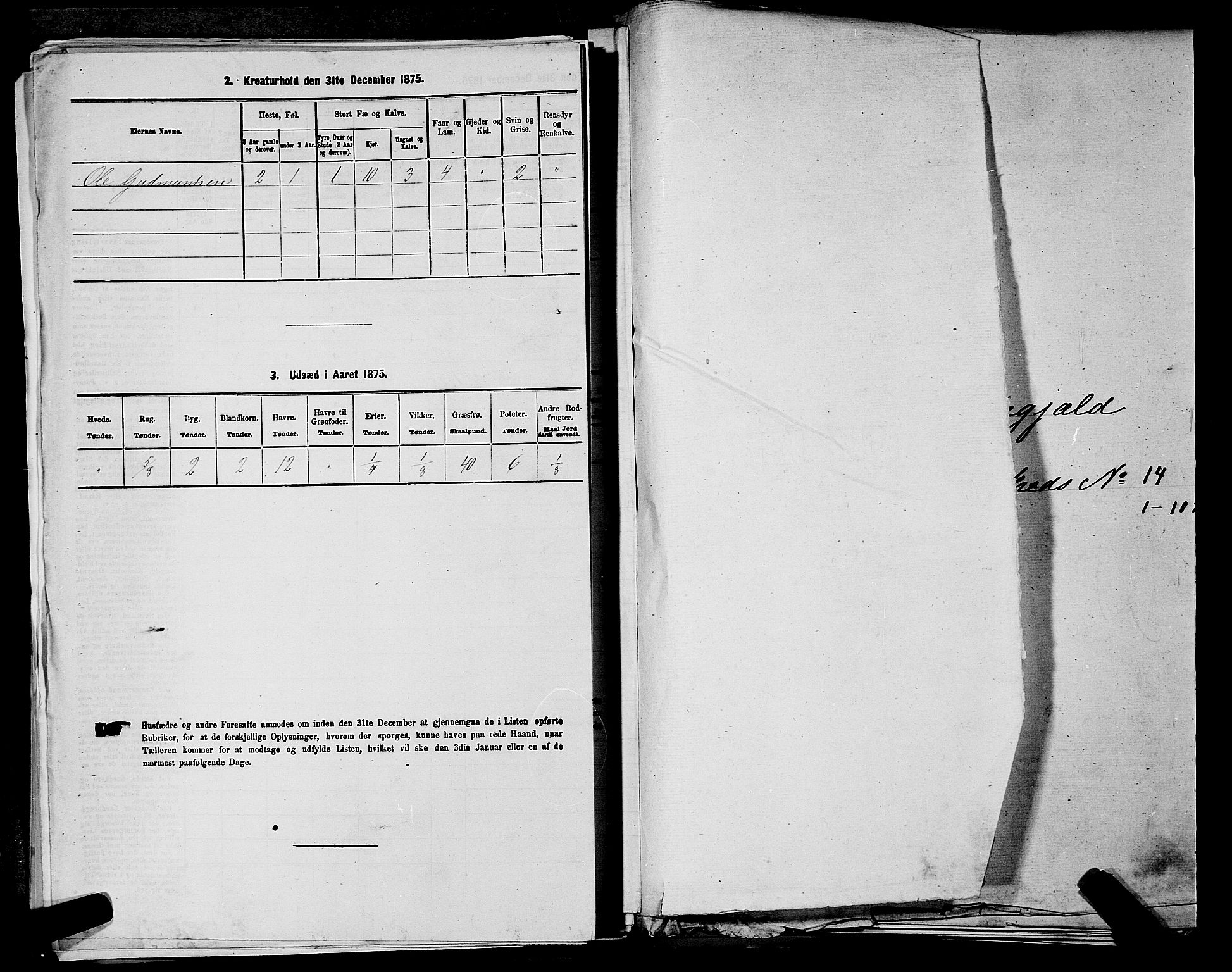 RA, 1875 census for 0236P Nes, 1875, p. 2482