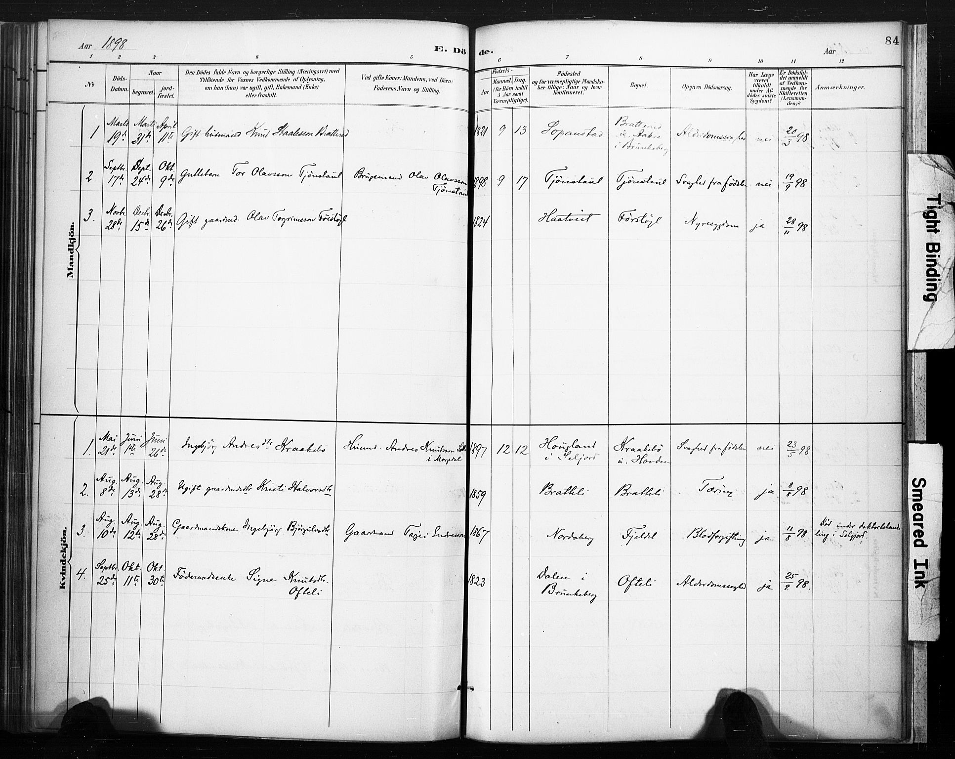 Lårdal kirkebøker, SAKO/A-284/F/Fc/L0002: Parish register (official) no. III 2, 1887-1906, p. 84