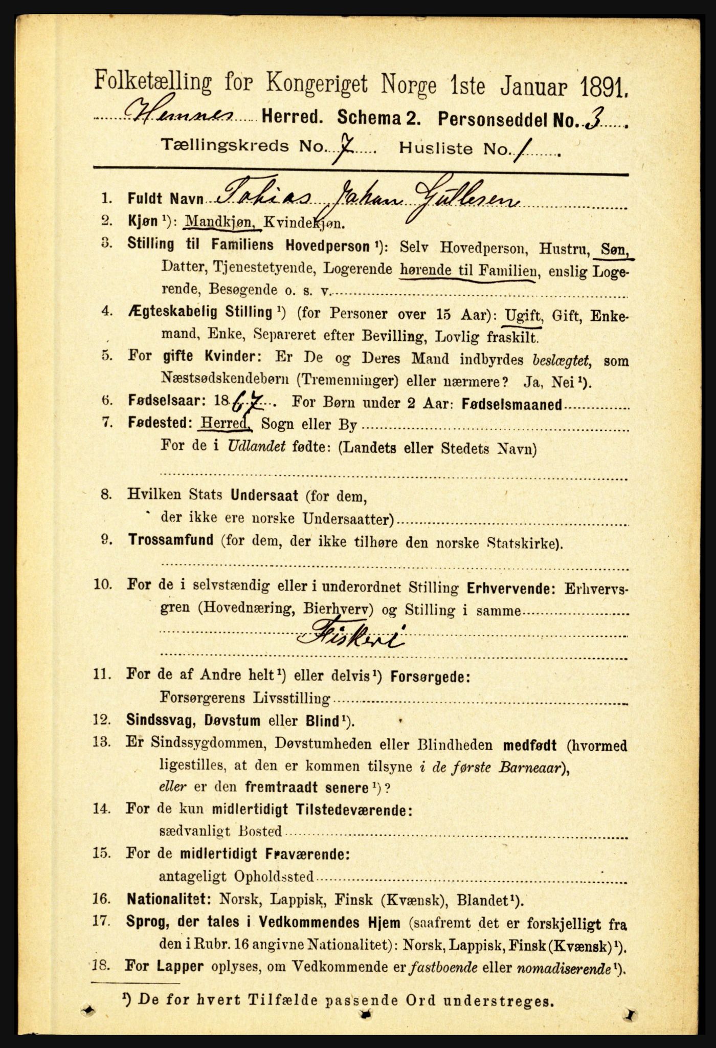 RA, 1891 census for 1832 Hemnes, 1891, p. 3255