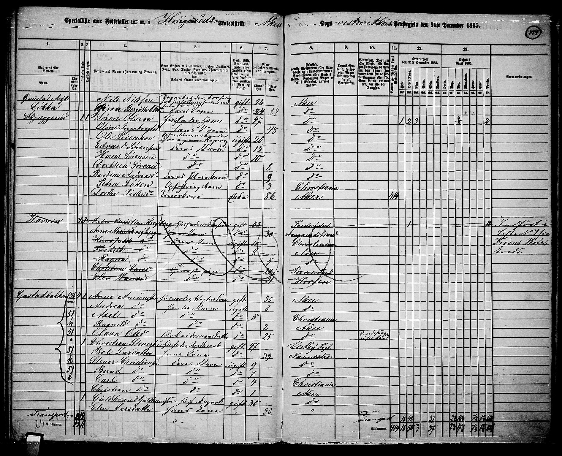 RA, 1865 census for Vestre Aker, 1865, p. 158