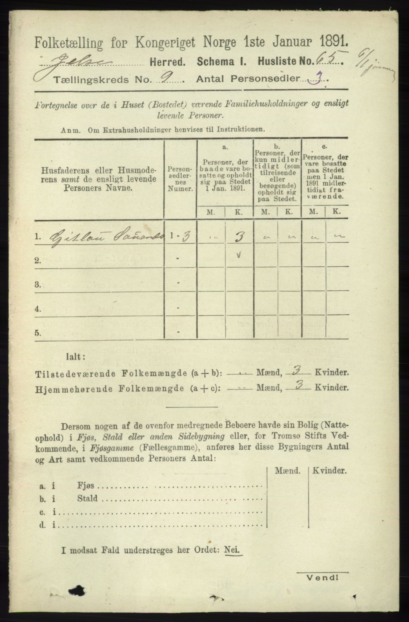 RA, 1891 census for 1138 Jelsa, 1891, p. 2067