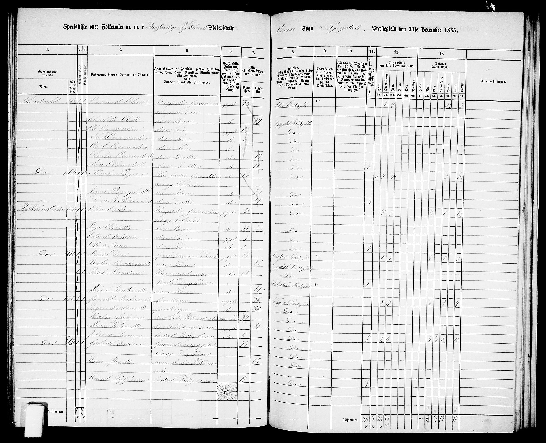 RA, 1865 census for Lyngdal, 1865, p. 222