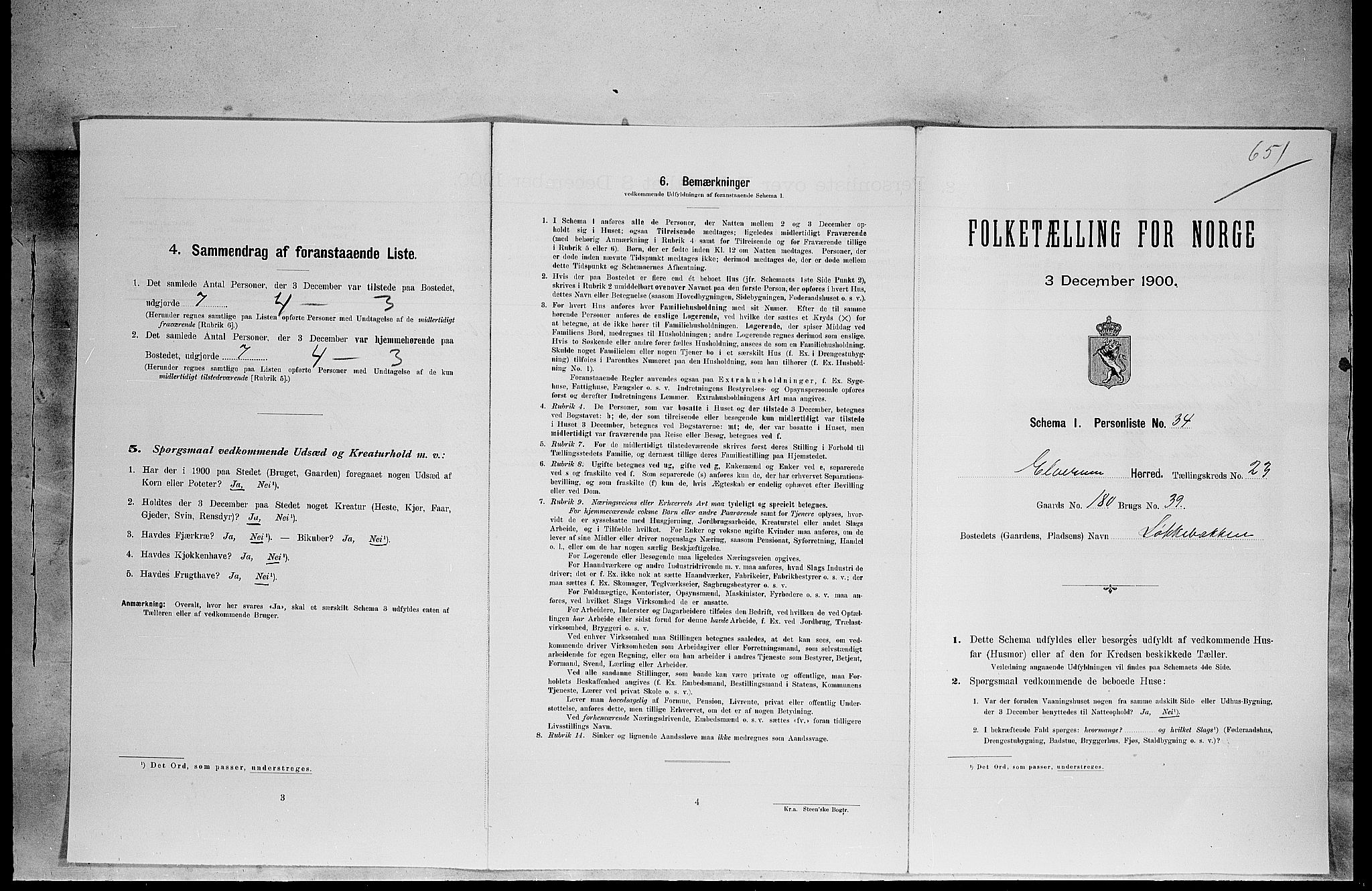 SAH, 1900 census for Elverum, 1900, p. 2970