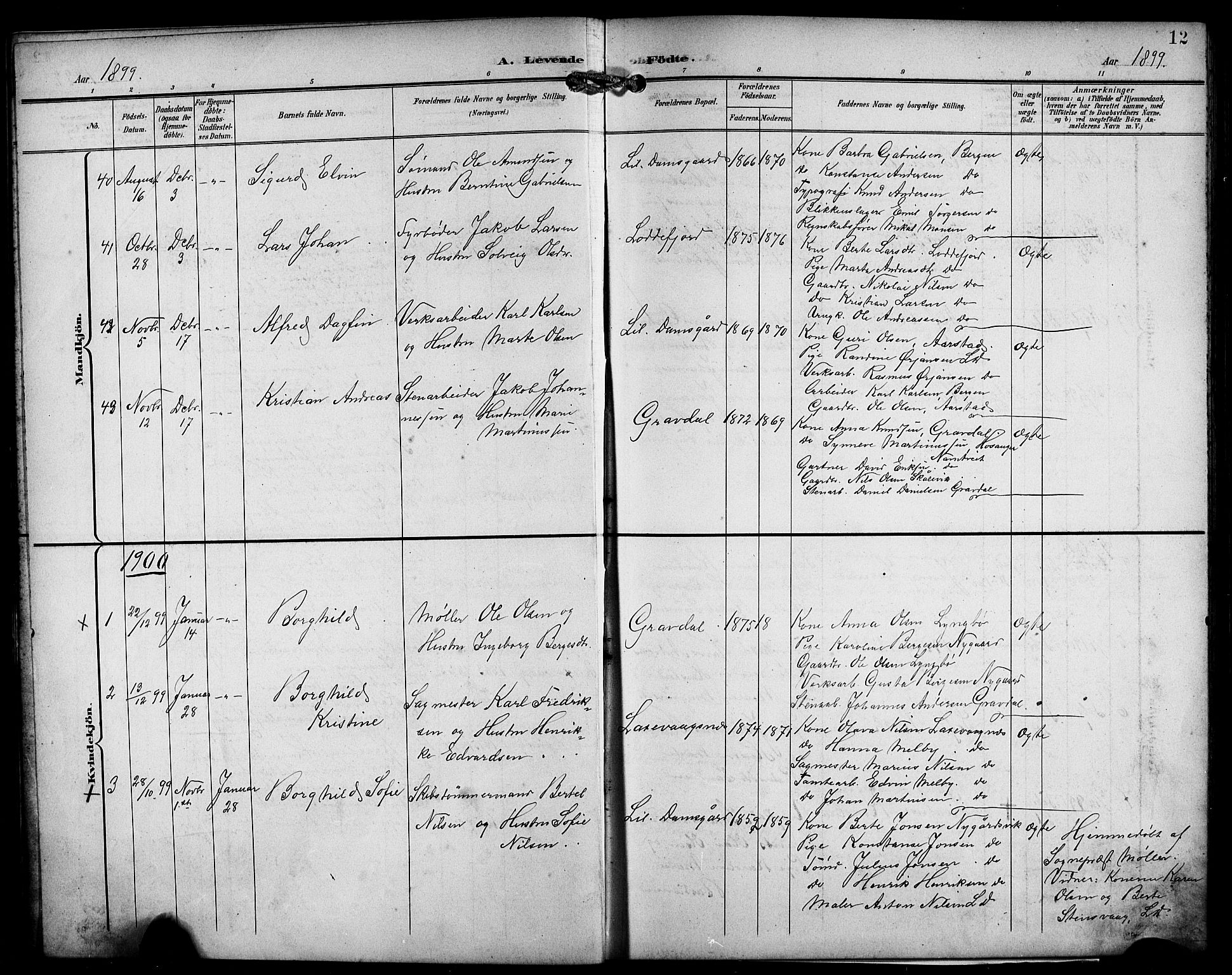 Laksevåg Sokneprestembete, SAB/A-76501/H/Ha/Hab/Haba/L0004: Parish register (copy) no. A 4, 1899-1909, p. 12