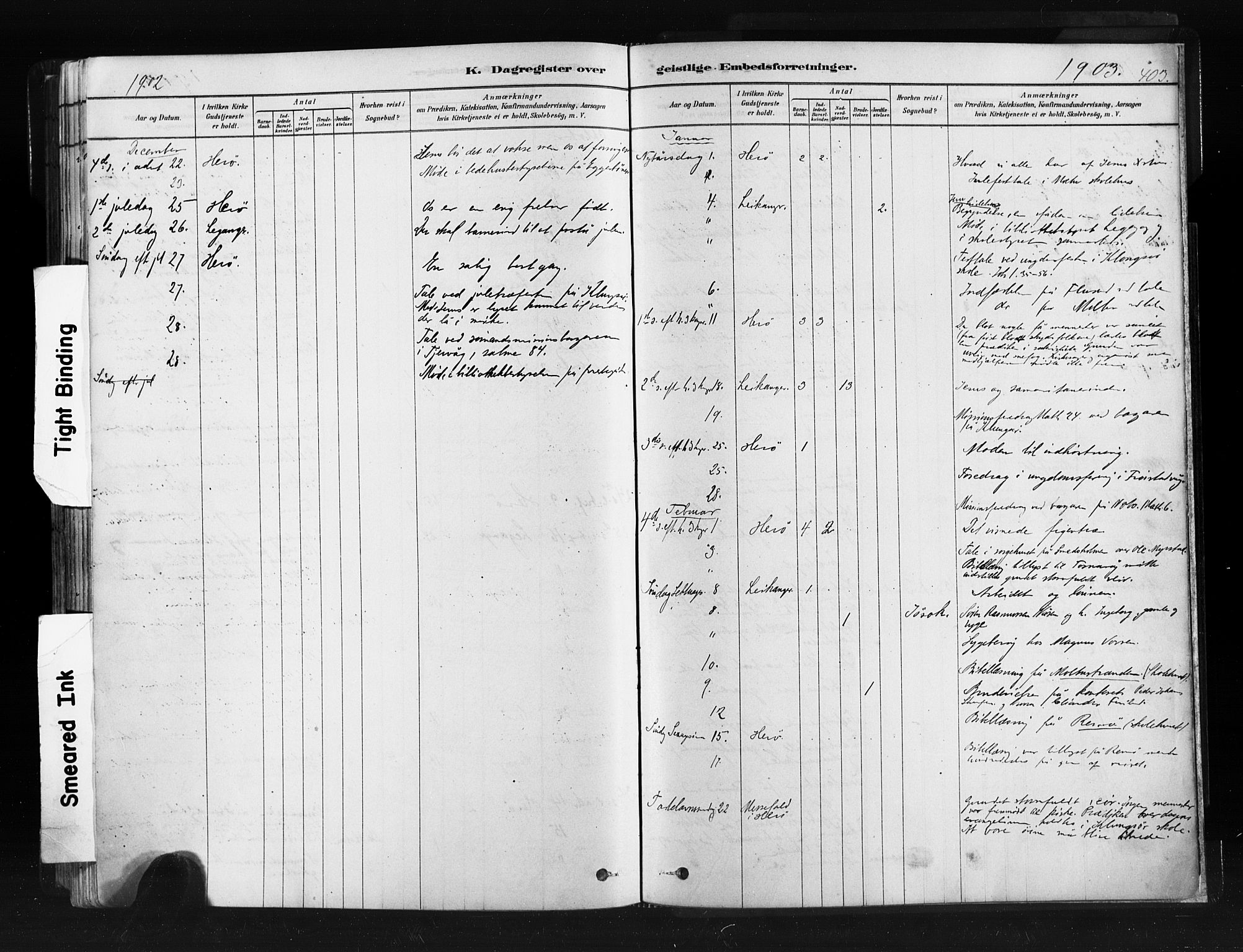 Ministerialprotokoller, klokkerbøker og fødselsregistre - Møre og Romsdal, AV/SAT-A-1454/507/L0073: Parish register (official) no. 507A08, 1878-1904, p. 403