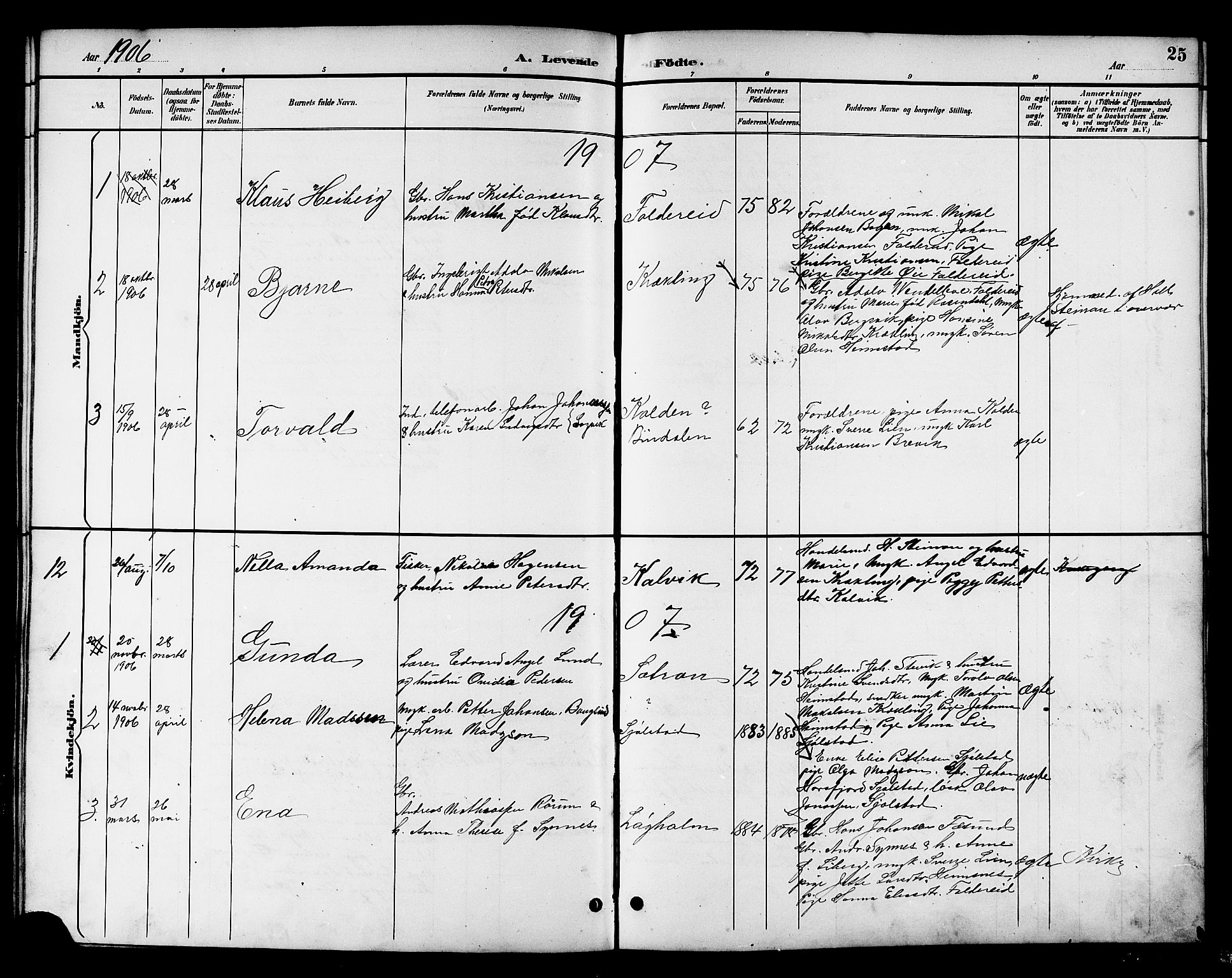 Ministerialprotokoller, klokkerbøker og fødselsregistre - Nord-Trøndelag, SAT/A-1458/783/L0662: Parish register (copy) no. 783C02, 1894-1919, p. 25
