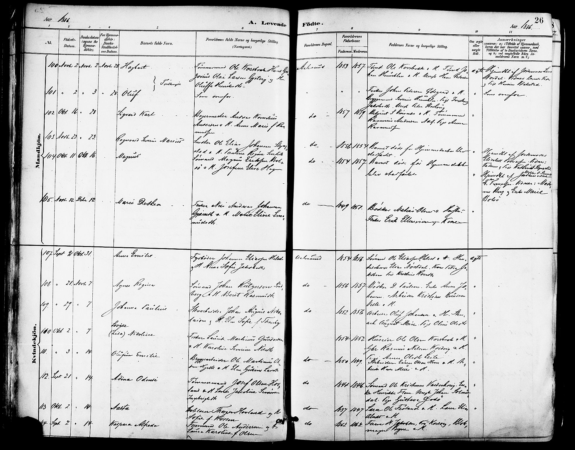 Ministerialprotokoller, klokkerbøker og fødselsregistre - Møre og Romsdal, AV/SAT-A-1454/529/L0455: Parish register (official) no. 529A05, 1885-1893, p. 26