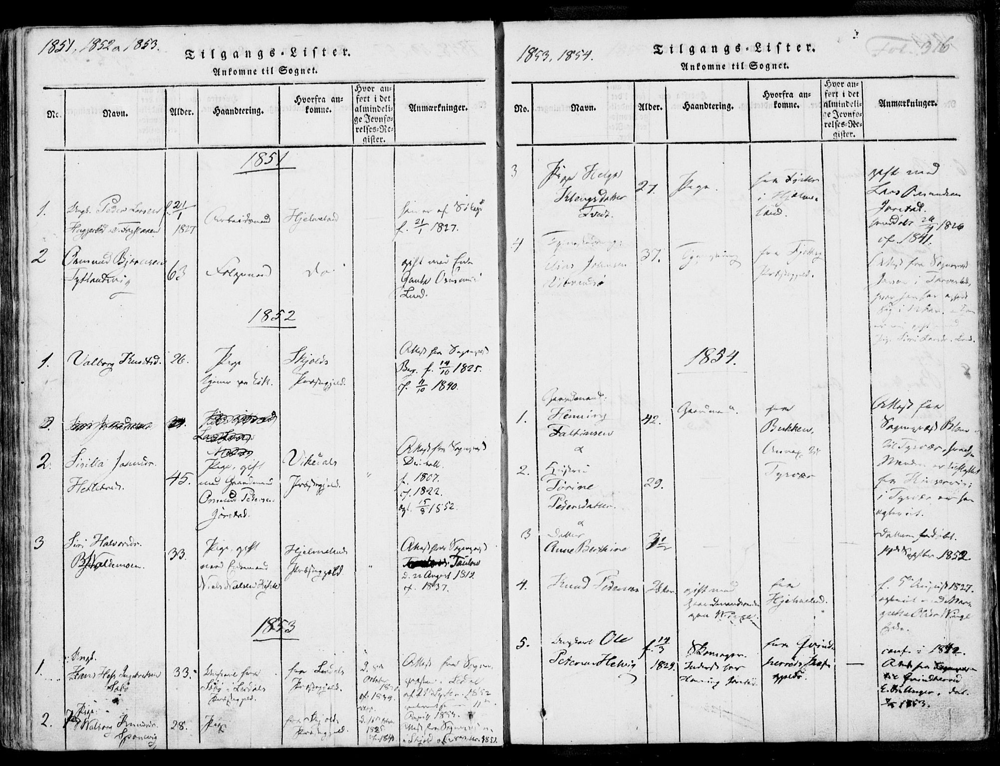 Nedstrand sokneprestkontor, AV/SAST-A-101841/01/IV: Parish register (official) no. A 7, 1816-1870, p. 316