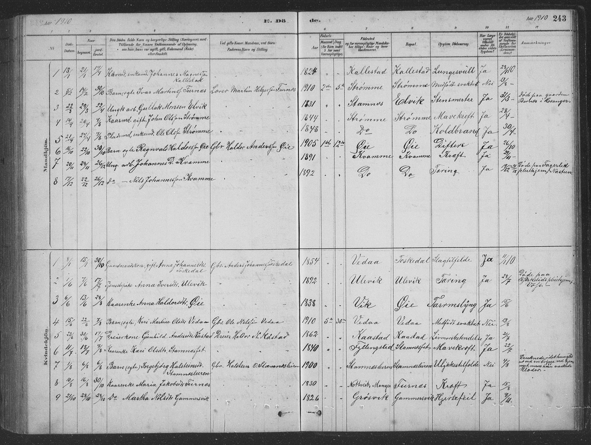Vaksdal Sokneprestembete, SAB/A-78901/H/Hab: Parish register (copy) no. D 1, 1878-1939, p. 243