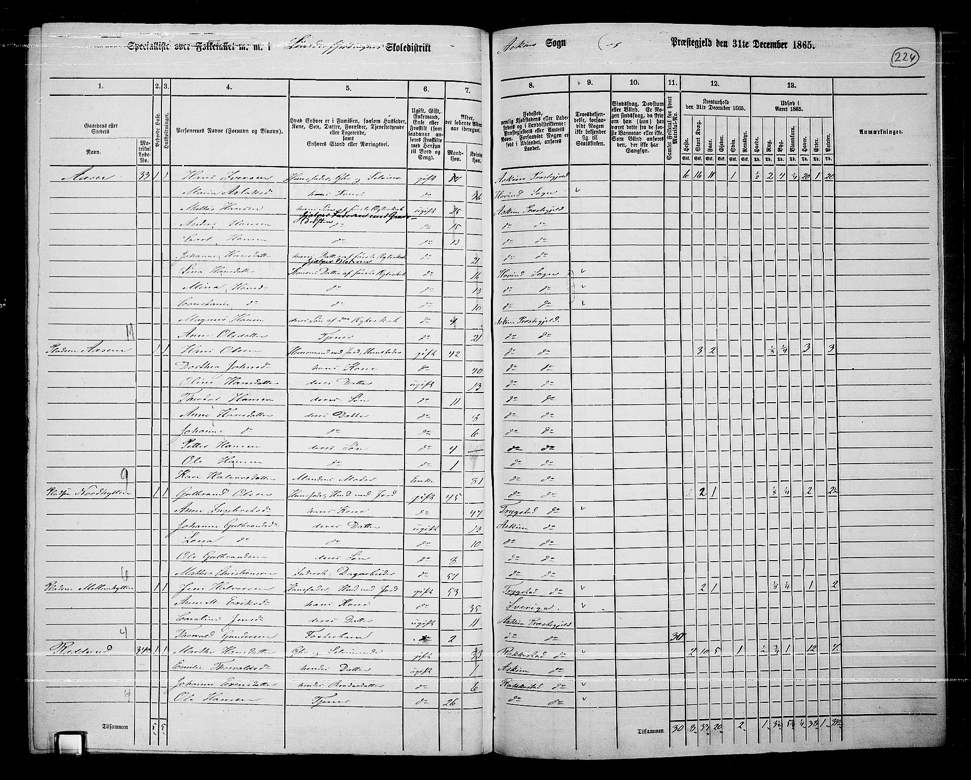 RA, 1865 census for Askim, 1865, p. 81