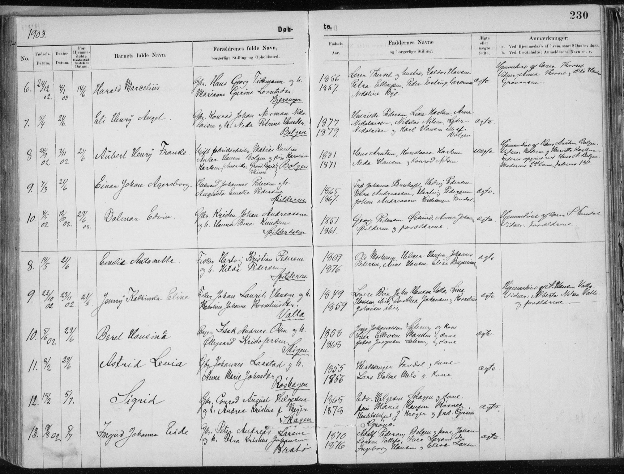 Ministerialprotokoller, klokkerbøker og fødselsregistre - Nordland, SAT/A-1459/843/L0636: Parish register (copy) no. 843C05, 1884-1909, p. 230
