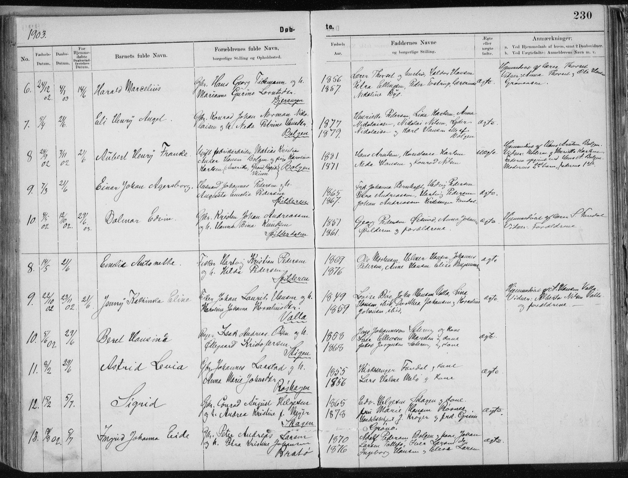 Ministerialprotokoller, klokkerbøker og fødselsregistre - Nordland, AV/SAT-A-1459/843/L0636: Parish register (copy) no. 843C05, 1884-1909, p. 230