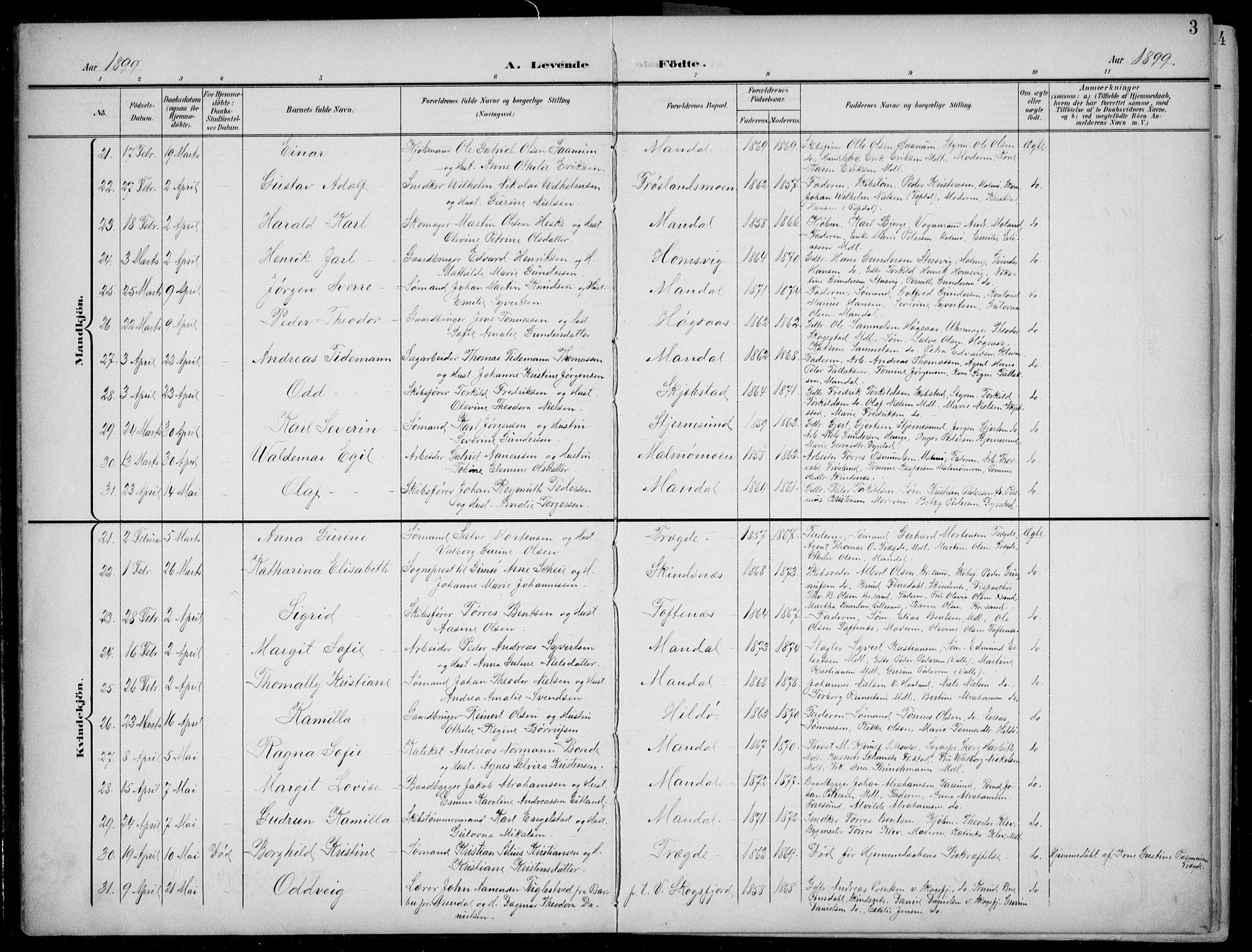 Mandal sokneprestkontor, SAK/1111-0030/F/Fb/Fba/L0012: Parish register (copy) no. B 6, 1899-1918, p. 3
