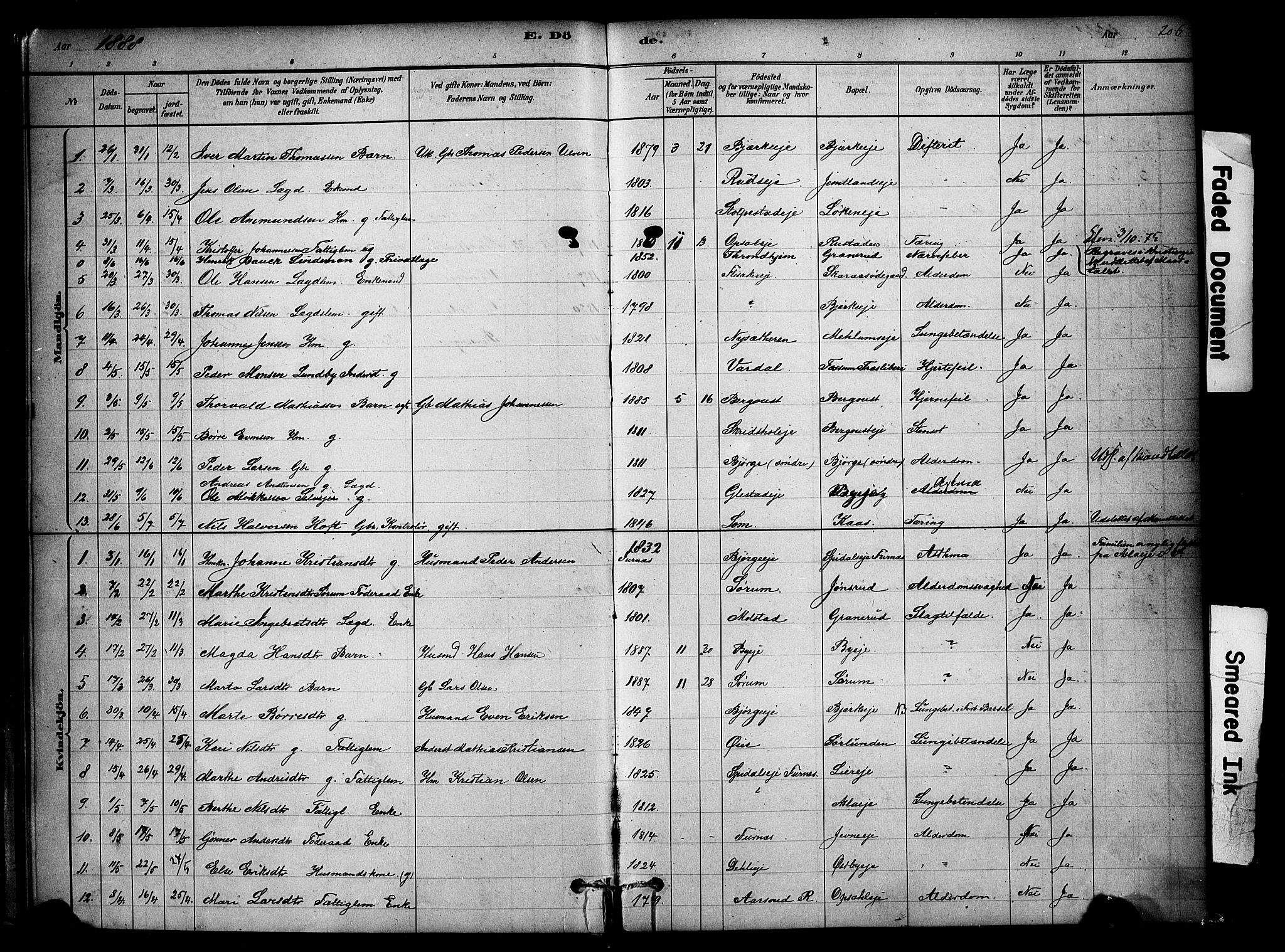 Ringsaker prestekontor, SAH/PREST-014/K/Ka/L0014: Parish register (official) no. 14, 1879-1890, p. 206