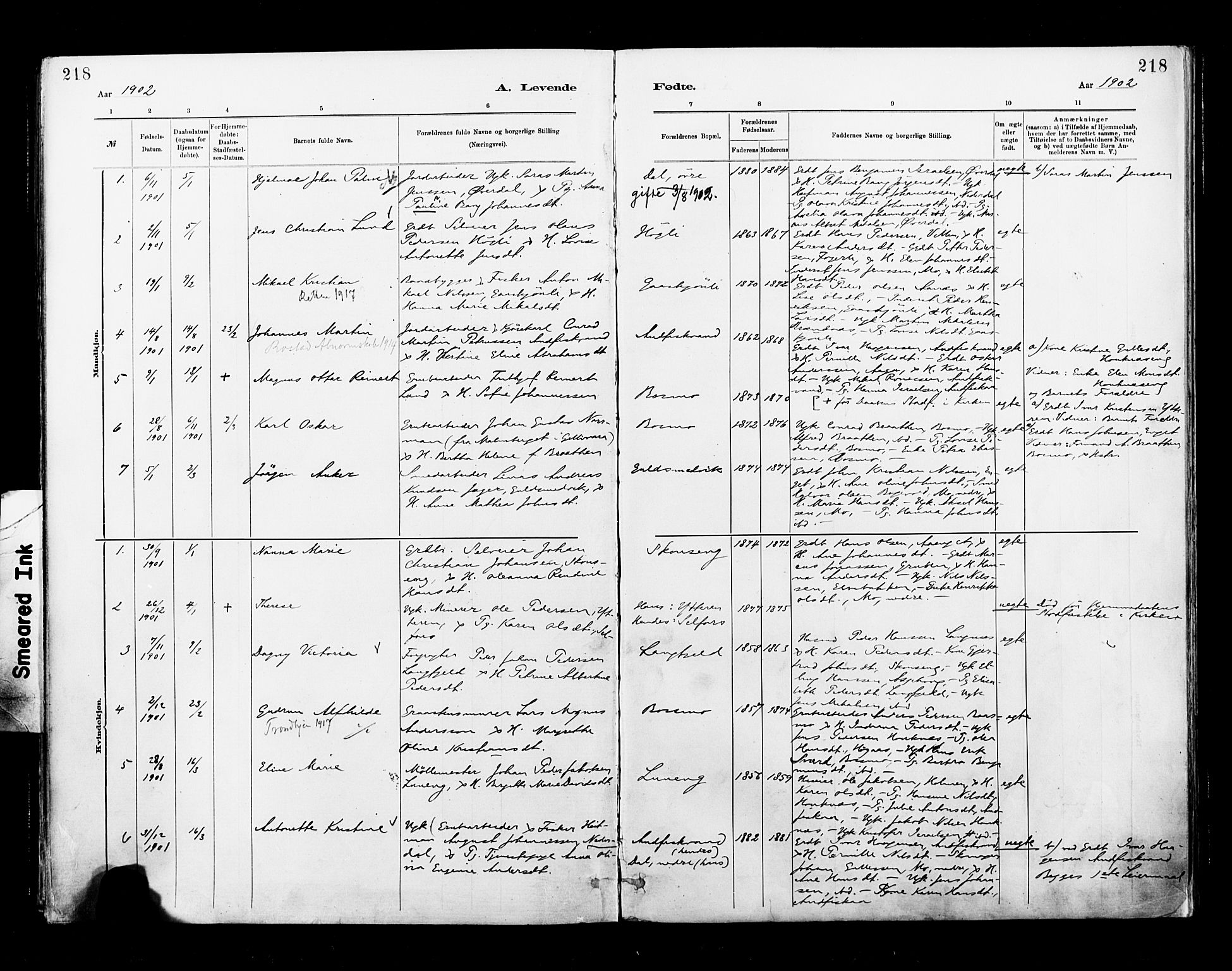 Ministerialprotokoller, klokkerbøker og fødselsregistre - Nordland, SAT/A-1459/827/L0400: Parish register (official) no. 827A12, 1883-1903, p. 218