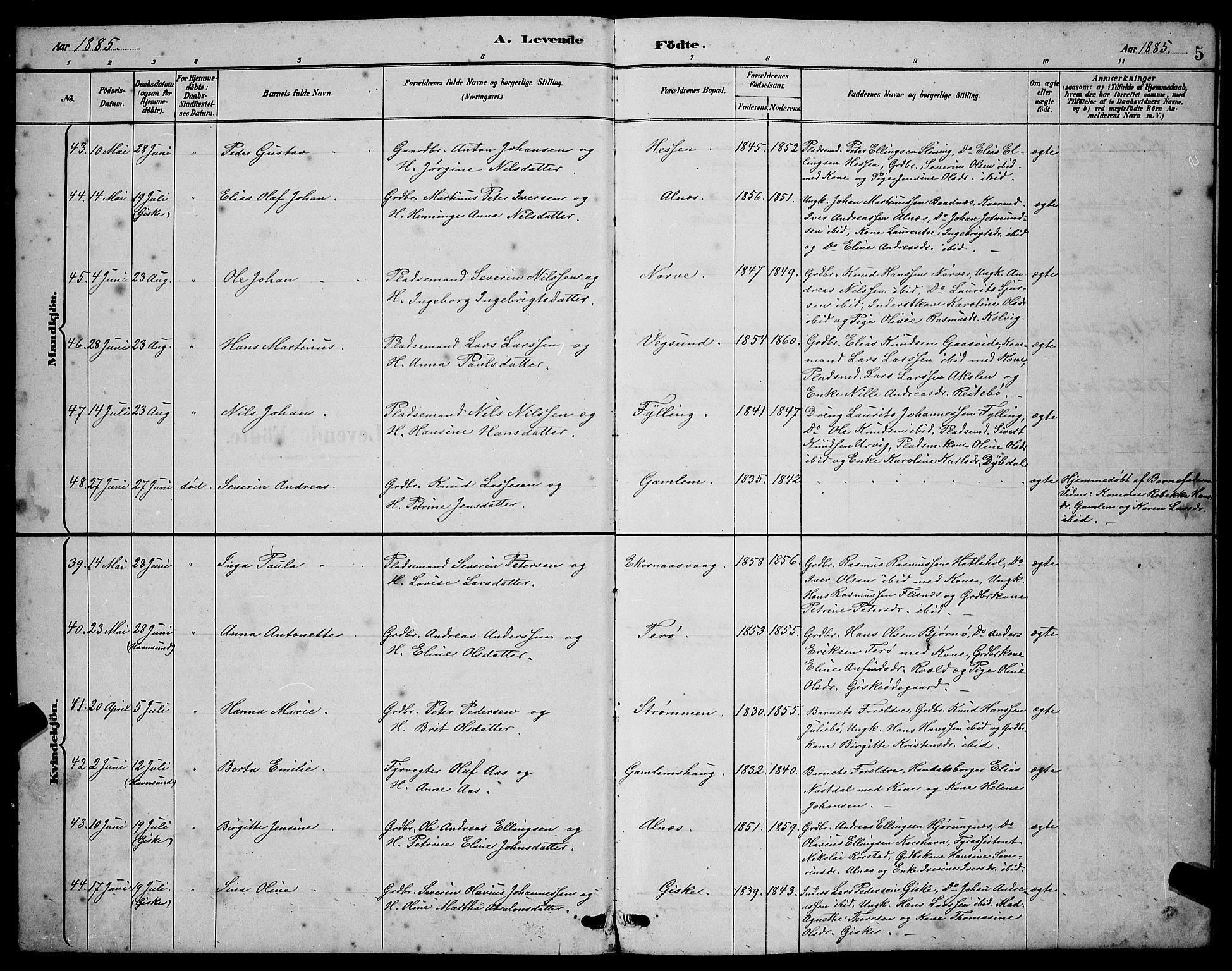 Ministerialprotokoller, klokkerbøker og fødselsregistre - Møre og Romsdal, AV/SAT-A-1454/528/L0431: Parish register (copy) no. 528C12, 1885-1898, p. 5