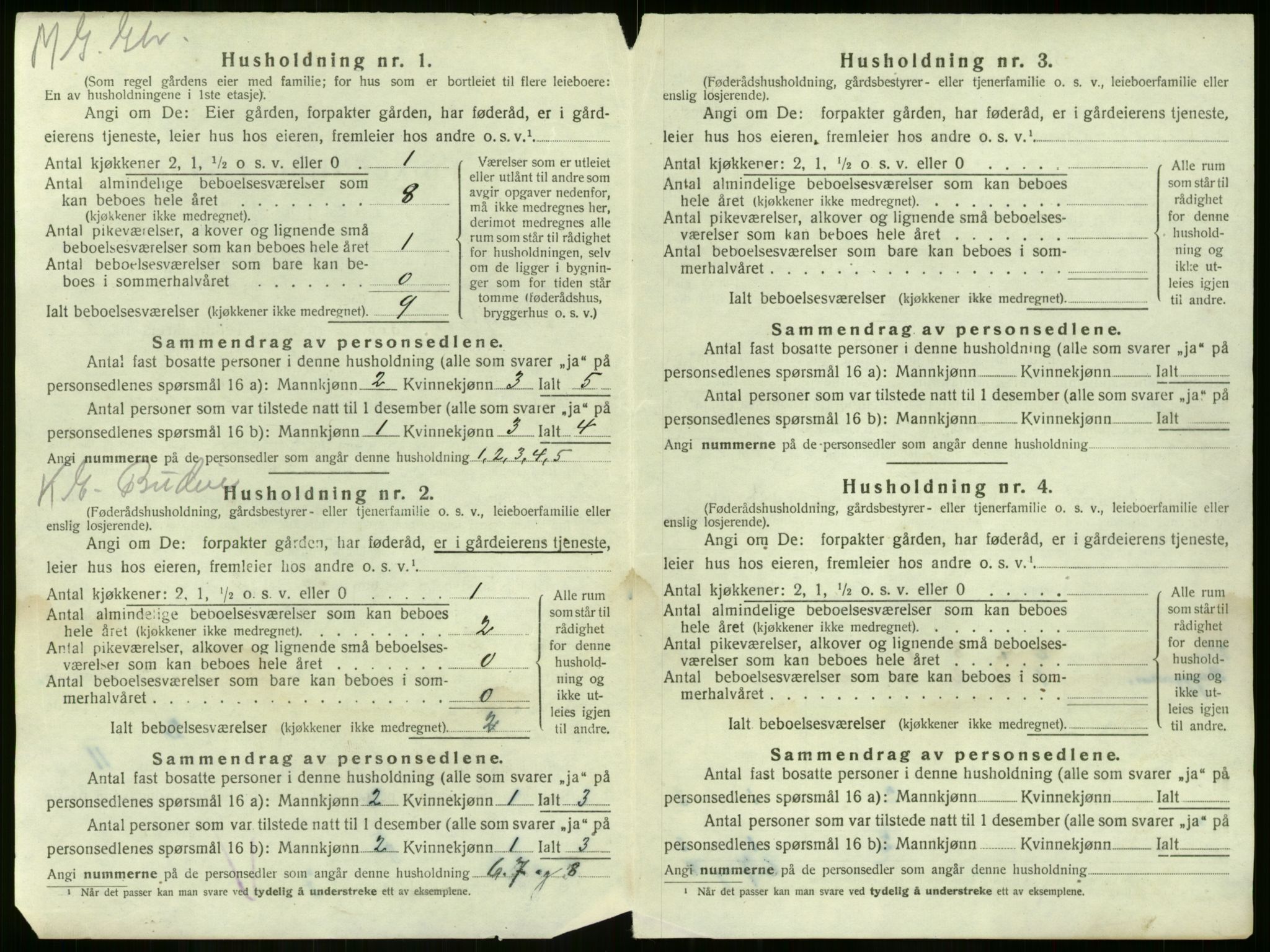 SAKO, 1920 census for Nøtterøy, 1920, p. 873