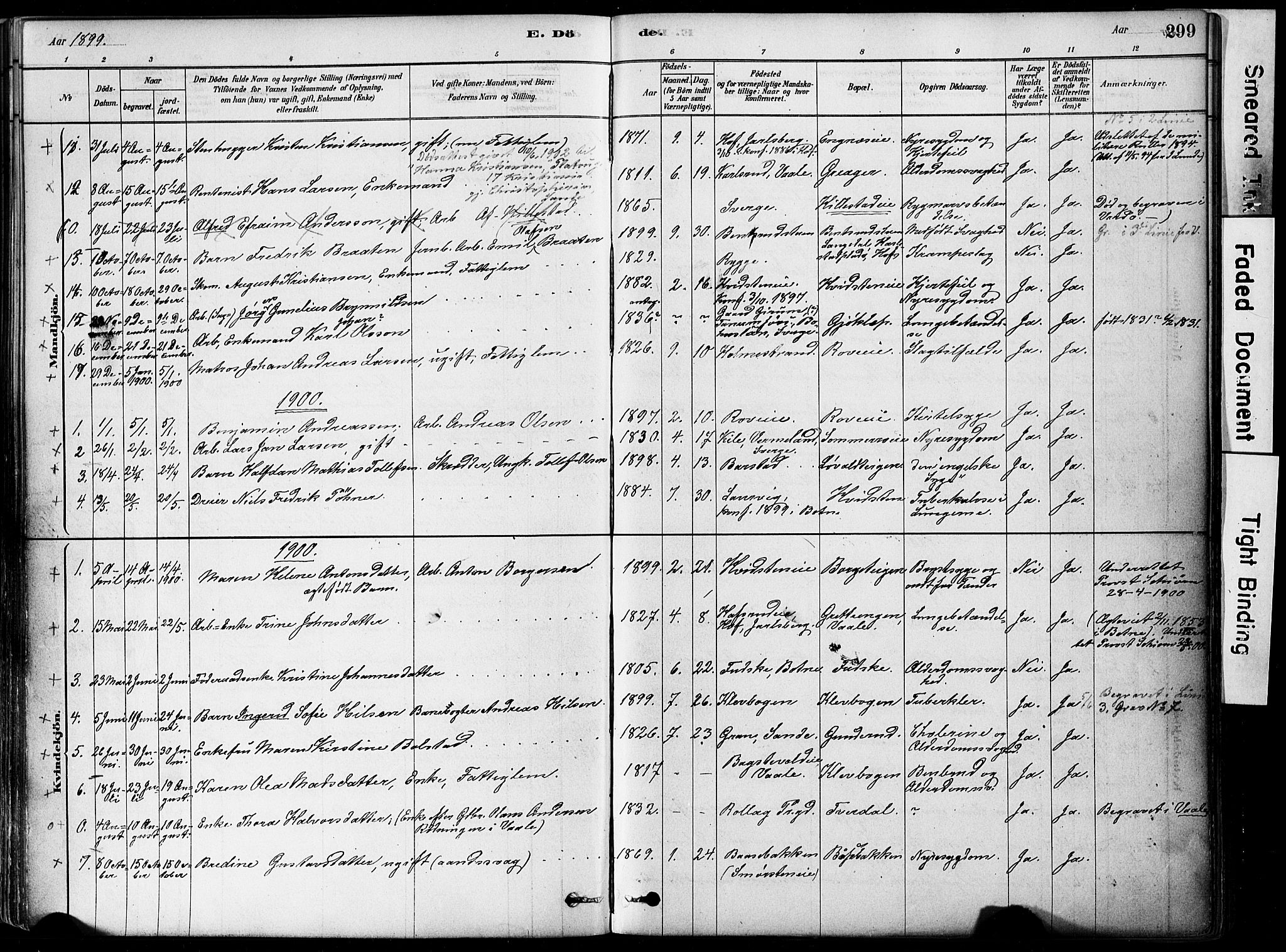 Botne kirkebøker, SAKO/A-340/F/Fa/L0007: Parish register (official) no. I 7, 1878-1910, p. 299