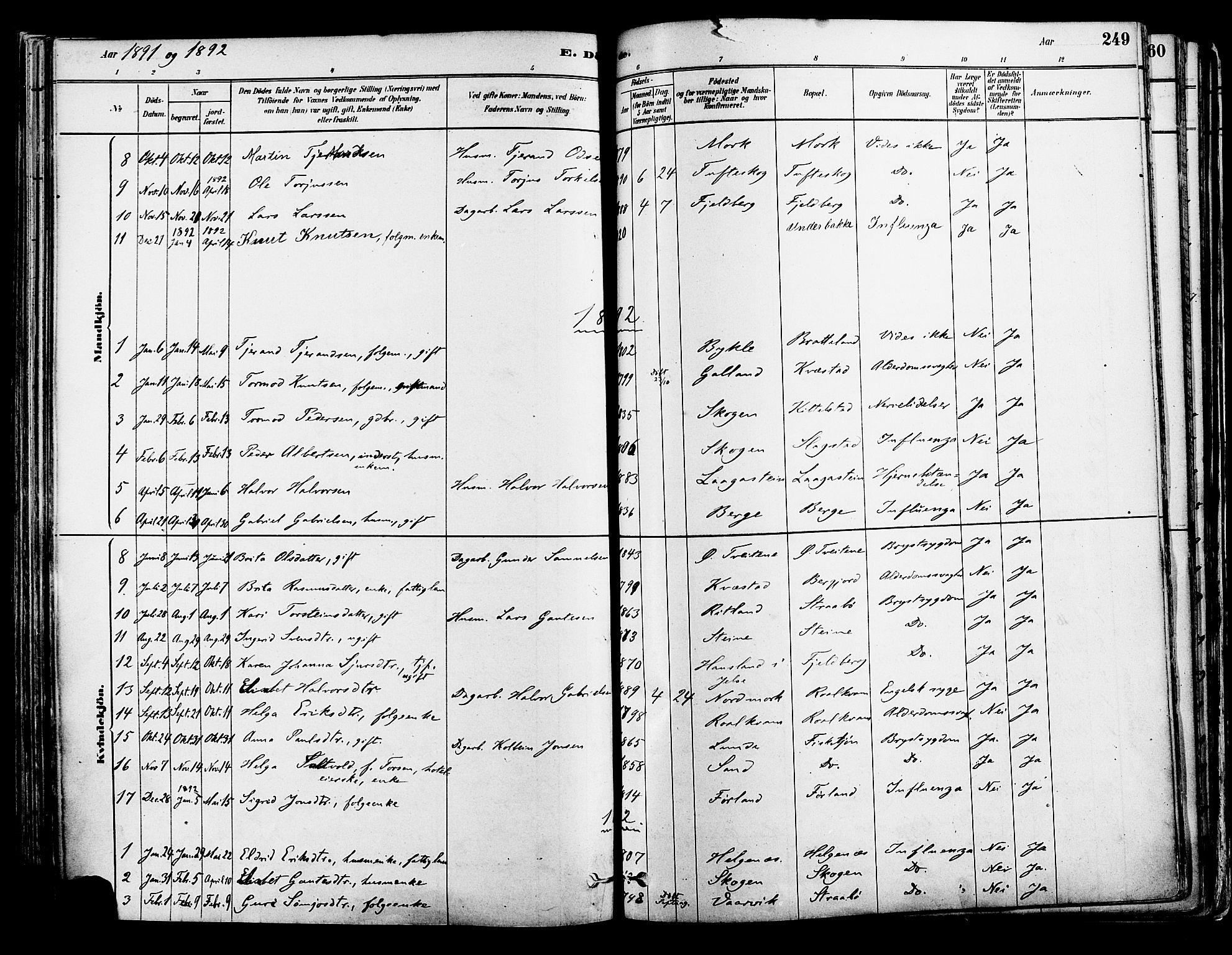 Suldal sokneprestkontor, AV/SAST-A-101845/01/IV/L0011: Parish register (official) no. A 11, 1878-1900, p. 249