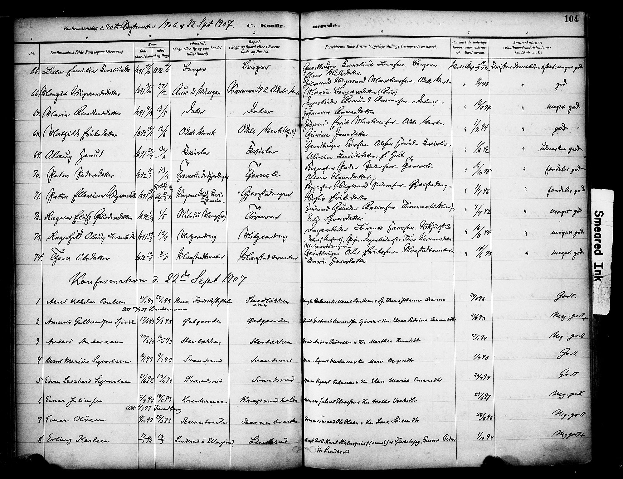 Sør-Odal prestekontor, SAH/PREST-030/H/Ha/Haa/L0007: Parish register (official) no. 7, 1886-1925, p. 104