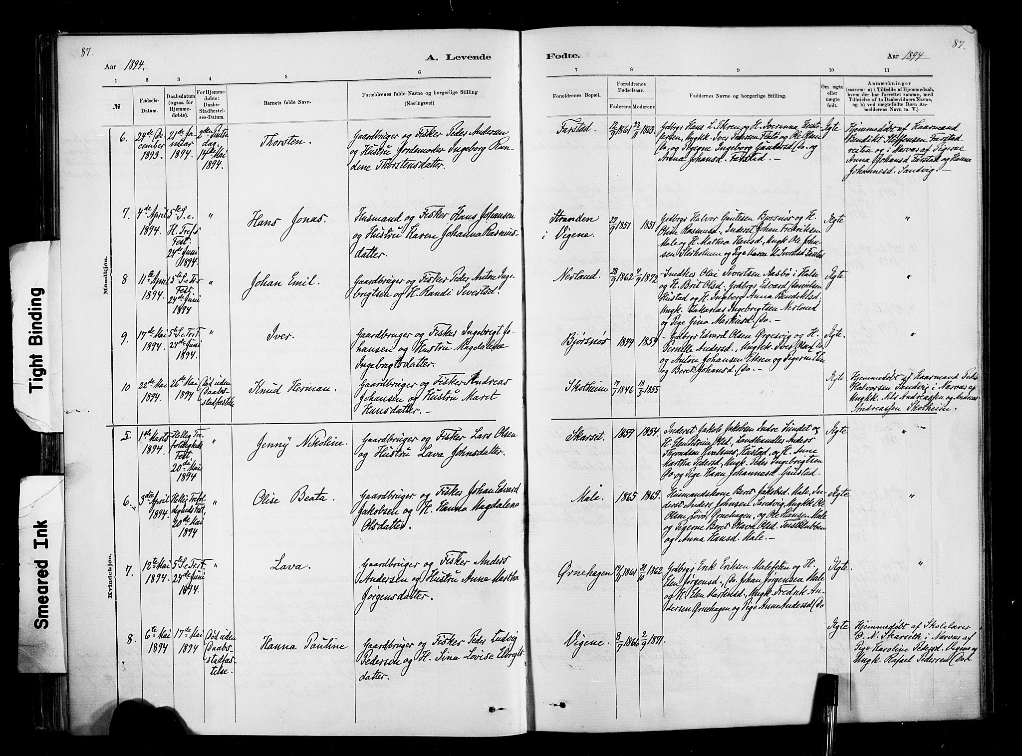 Ministerialprotokoller, klokkerbøker og fødselsregistre - Møre og Romsdal, AV/SAT-A-1454/567/L0778: Parish register (official) no. 567A01, 1881-1903, p. 87