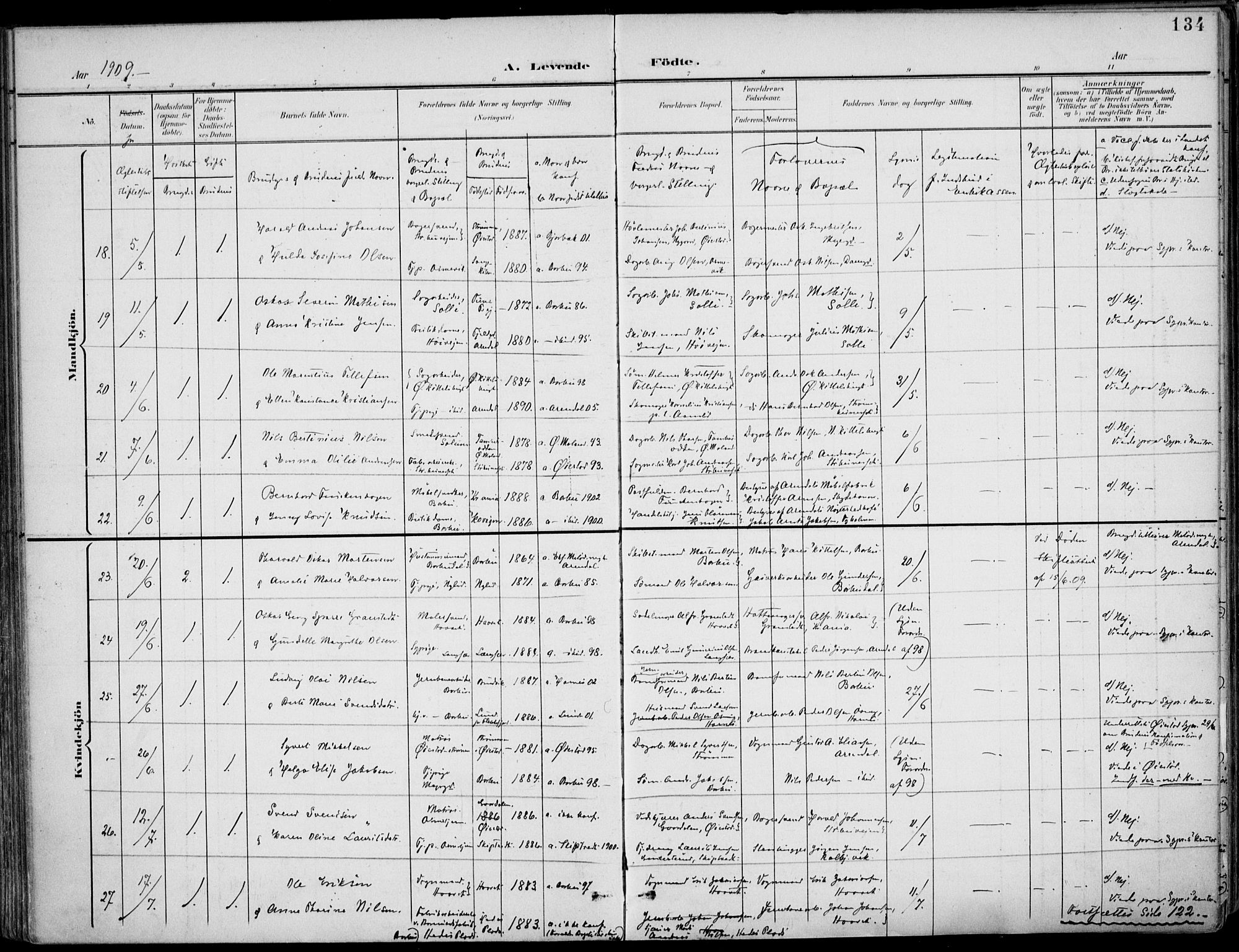 Barbu sokneprestkontor, SAK/1111-0003/F/Fa/L0005: Parish register (official) no. A 5, 1899-1909, p. 134
