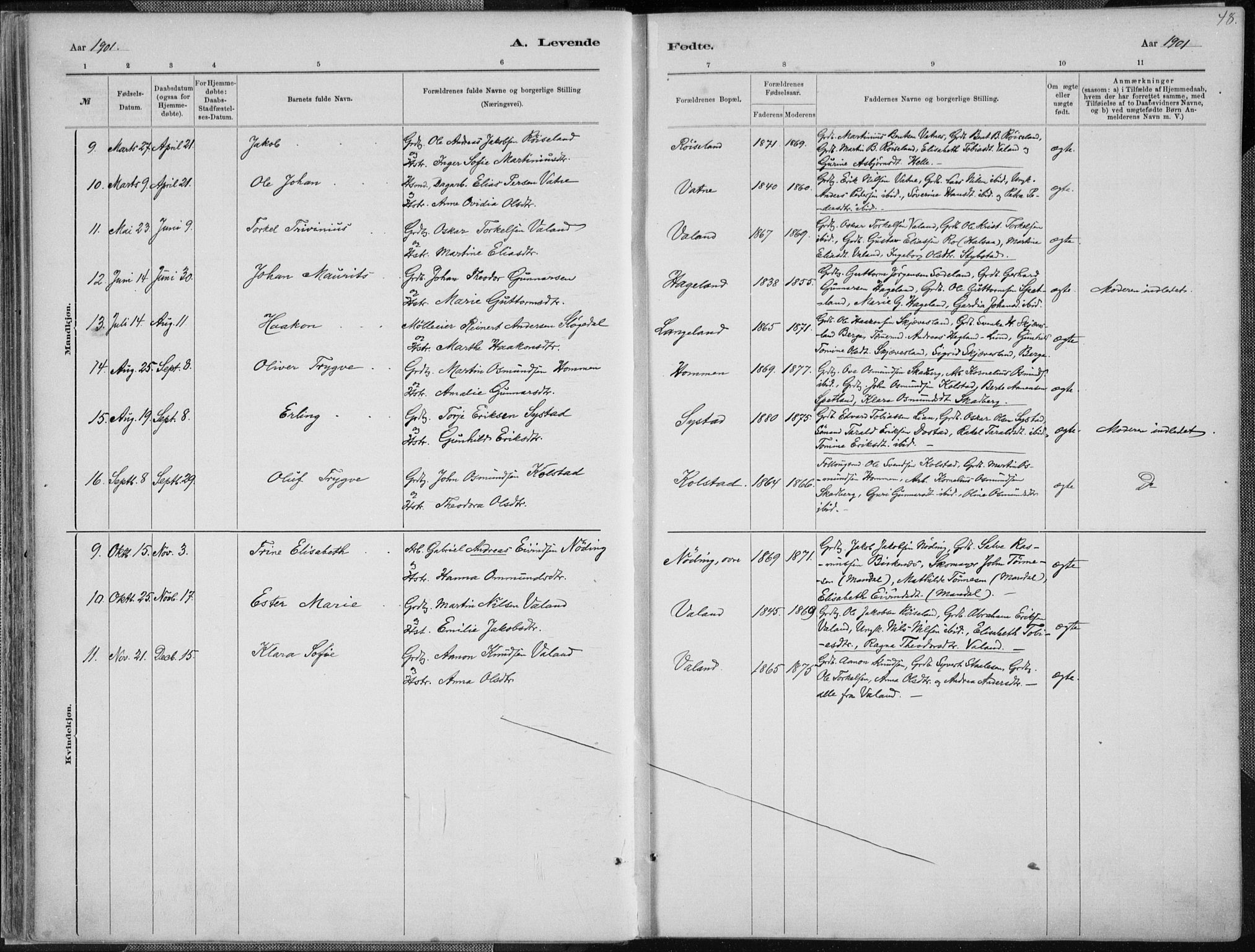 Holum sokneprestkontor, SAK/1111-0022/F/Fa/Faa/L0007: Parish register (official) no. A 7, 1884-1907, p. 48