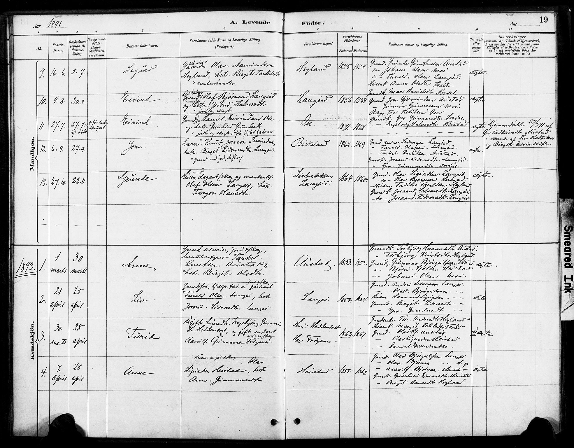 Bygland sokneprestkontor, SAK/1111-0006/F/Fa/Faa/L0001: Parish register (official) no. A 1, 1885-1908, p. 19