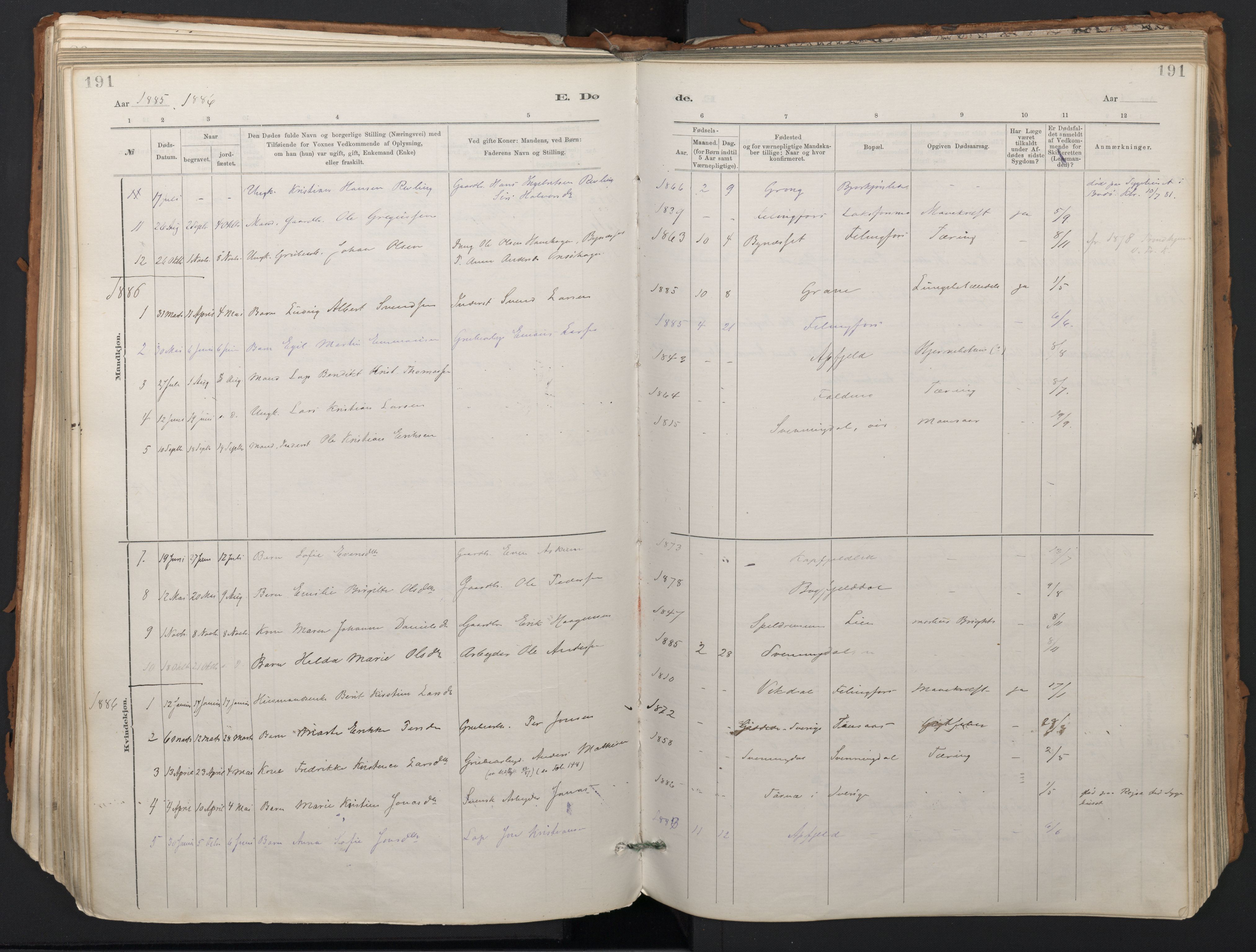 Ministerialprotokoller, klokkerbøker og fødselsregistre - Nordland, SAT/A-1459/824/L0338: Parish register (official) no. 824A01, 1880-1915, p. 191