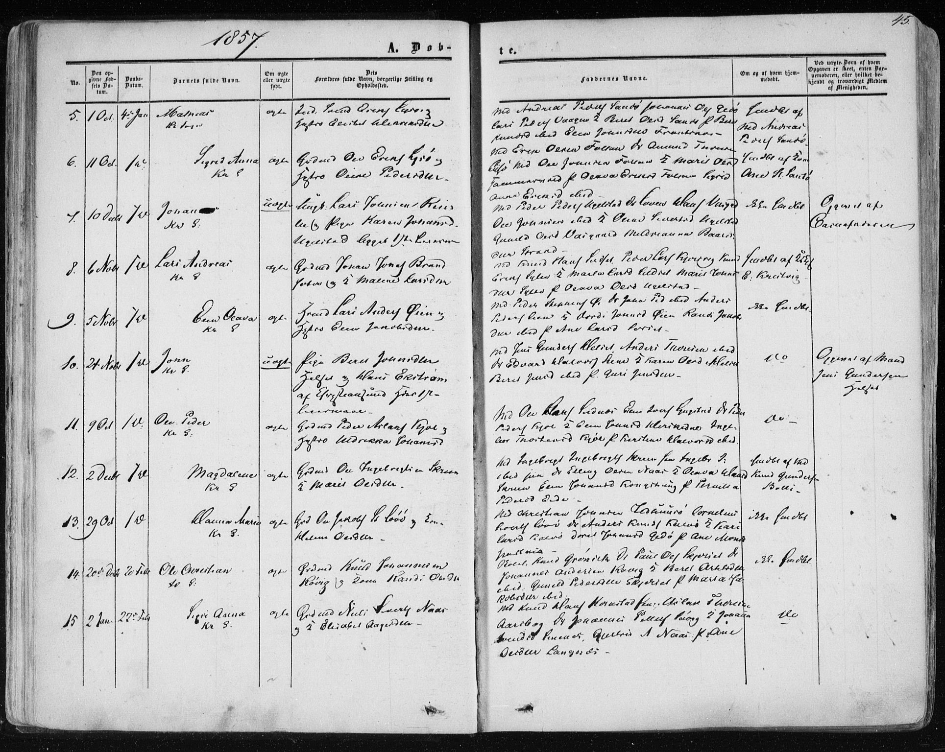 Ministerialprotokoller, klokkerbøker og fødselsregistre - Møre og Romsdal, AV/SAT-A-1454/568/L0804: Parish register (official) no. 568A11, 1854-1868, p. 45