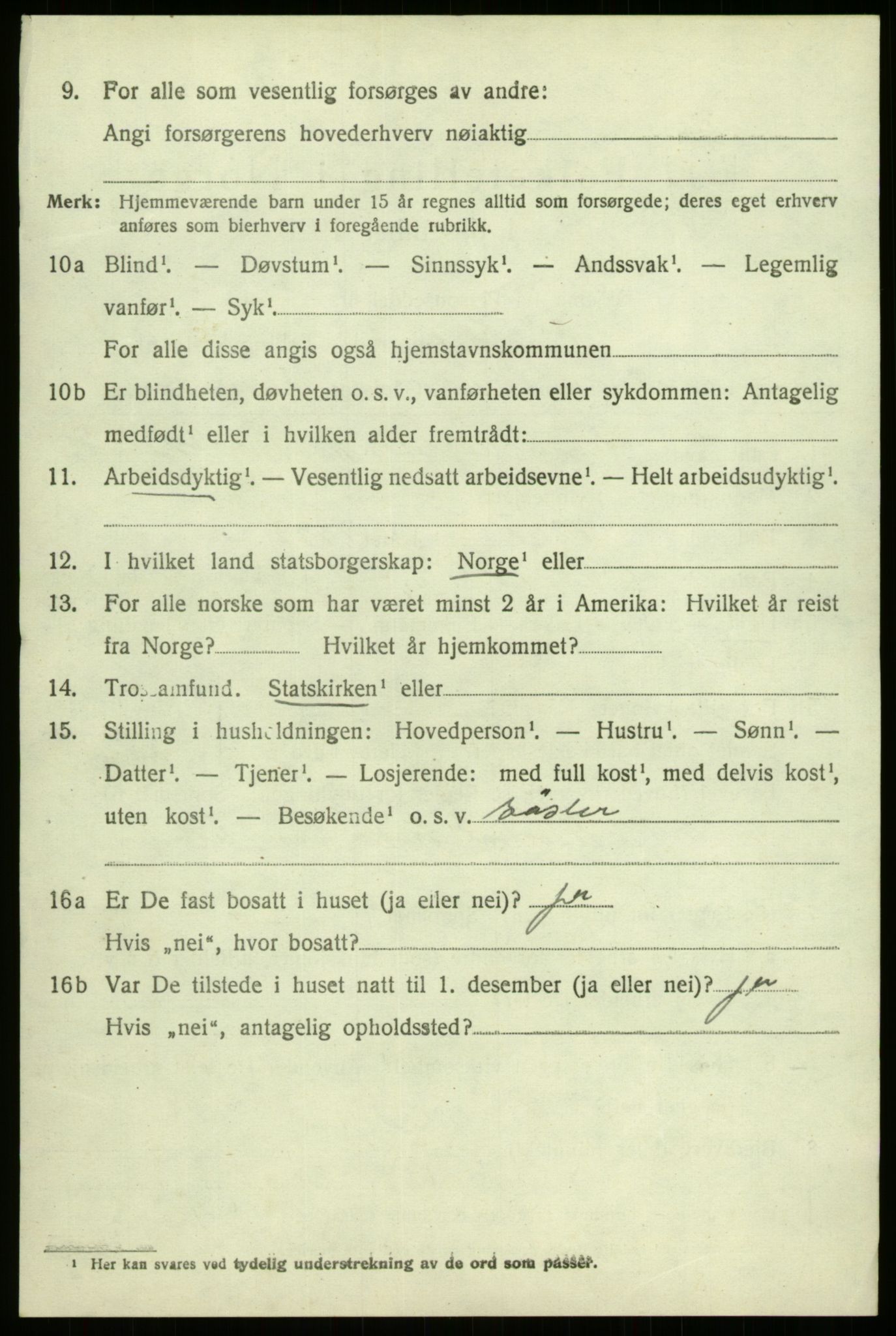 SAB, 1920 census for Hafslo, 1920, p. 3863