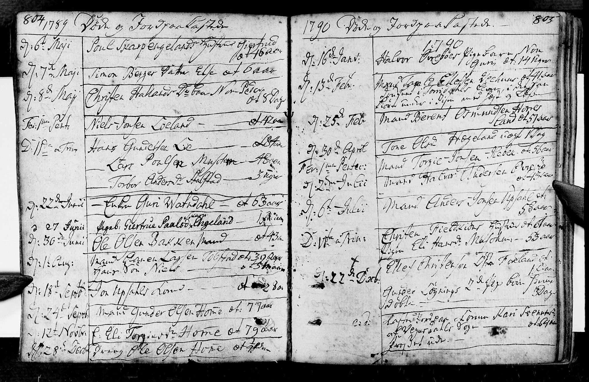 Vennesla sokneprestkontor, AV/SAK-1111-0045/Fa/Fac/L0002: Parish register (official) no. A 2, 1785-1834, p. 804-805