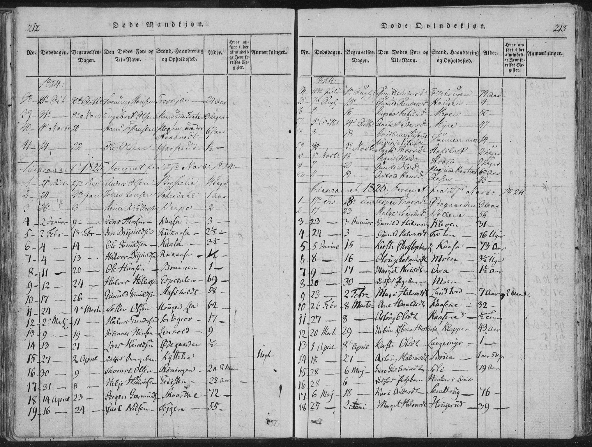 Bø kirkebøker, SAKO/A-257/F/Fa/L0006: Parish register (official) no. 6, 1815-1831, p. 212-213