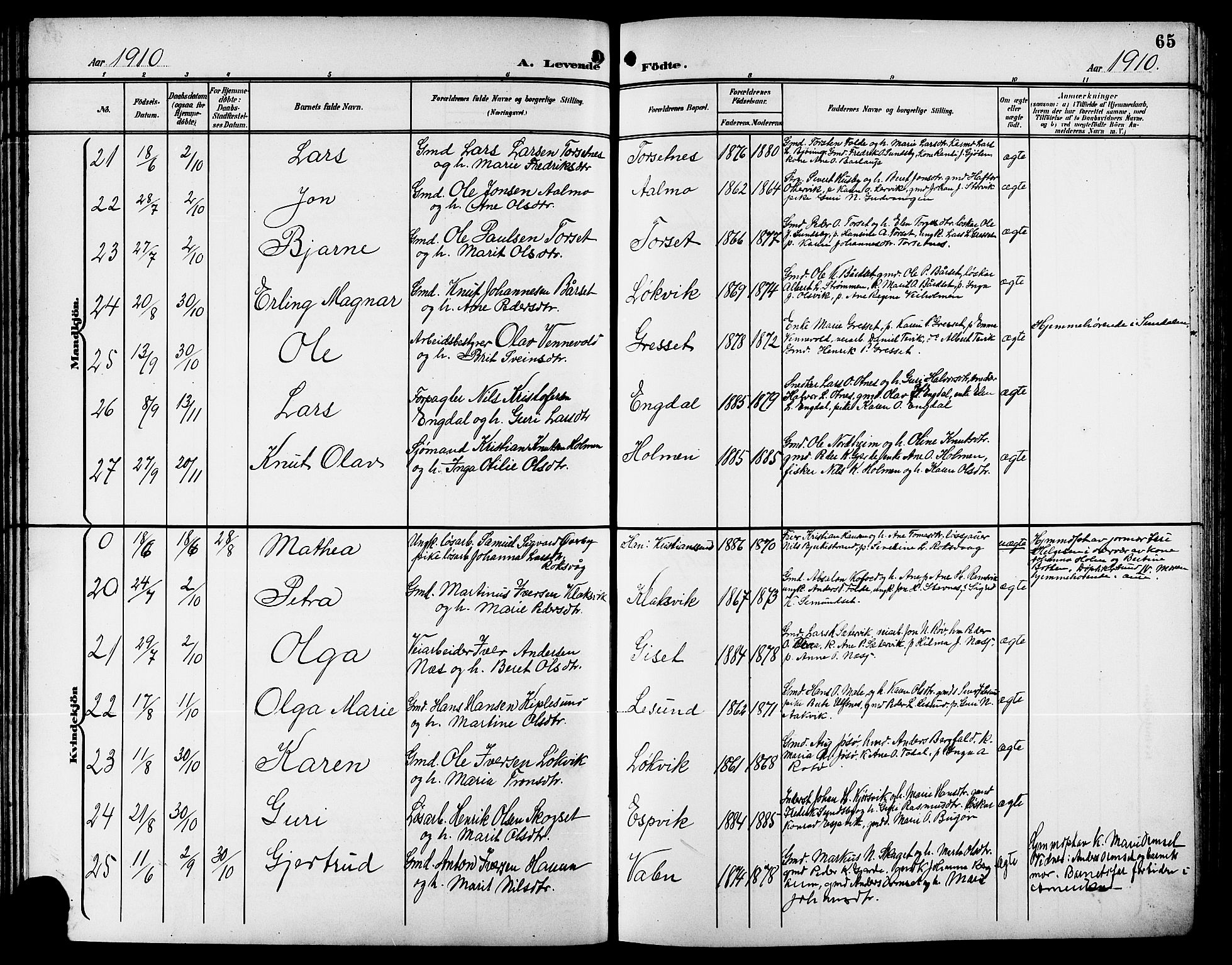 Ministerialprotokoller, klokkerbøker og fødselsregistre - Møre og Romsdal, SAT/A-1454/578/L0910: Parish register (copy) no. 578C03, 1900-1921, p. 65