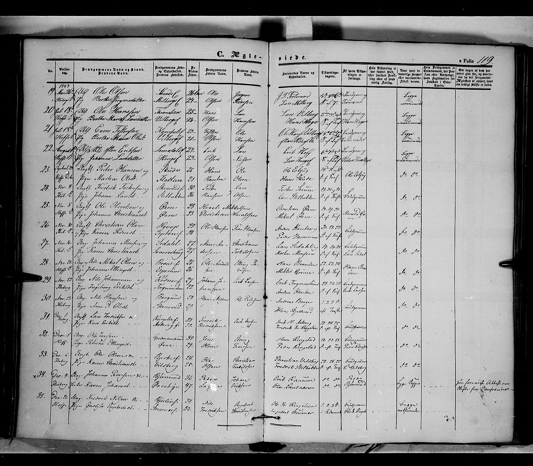 Land prestekontor, AV/SAH-PREST-120/H/Ha/Haa/L0009: Parish register (official) no. 9, 1847-1859, p. 119