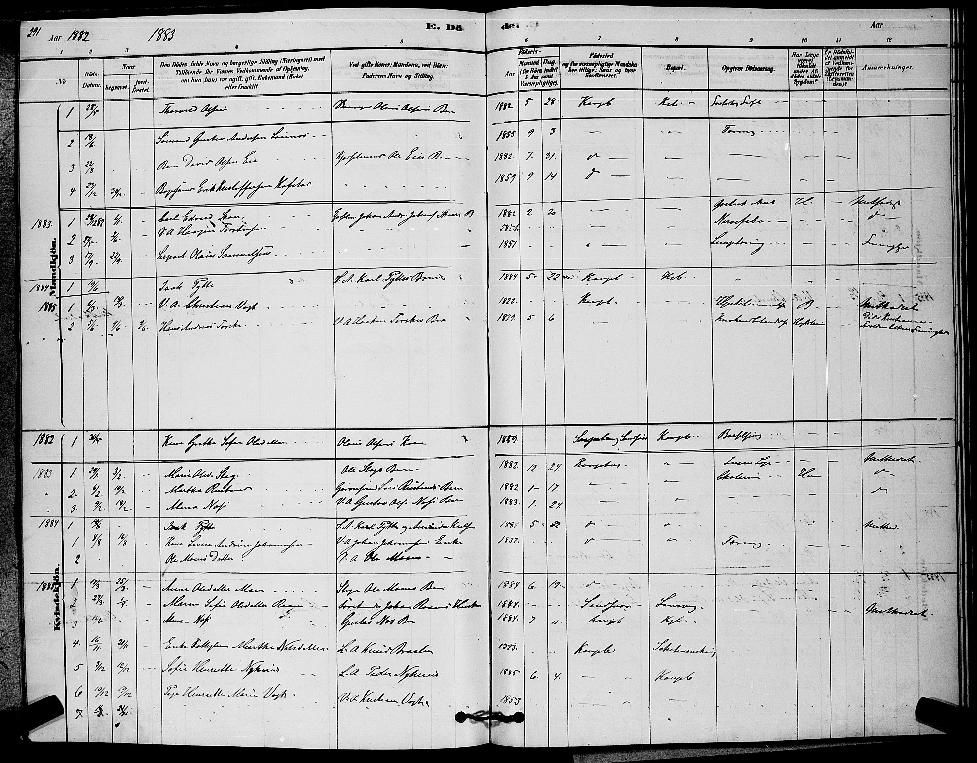 Kongsberg kirkebøker, SAKO/A-22/G/Ga/L0005: Parish register (copy) no. 5, 1878-1889, p. 291