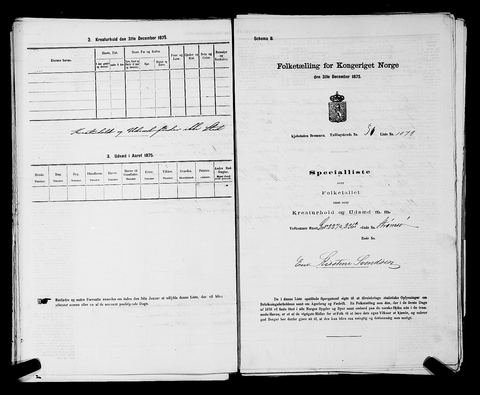 SAKO, 1875 census for 0602 Drammen, 1875, p. 2861