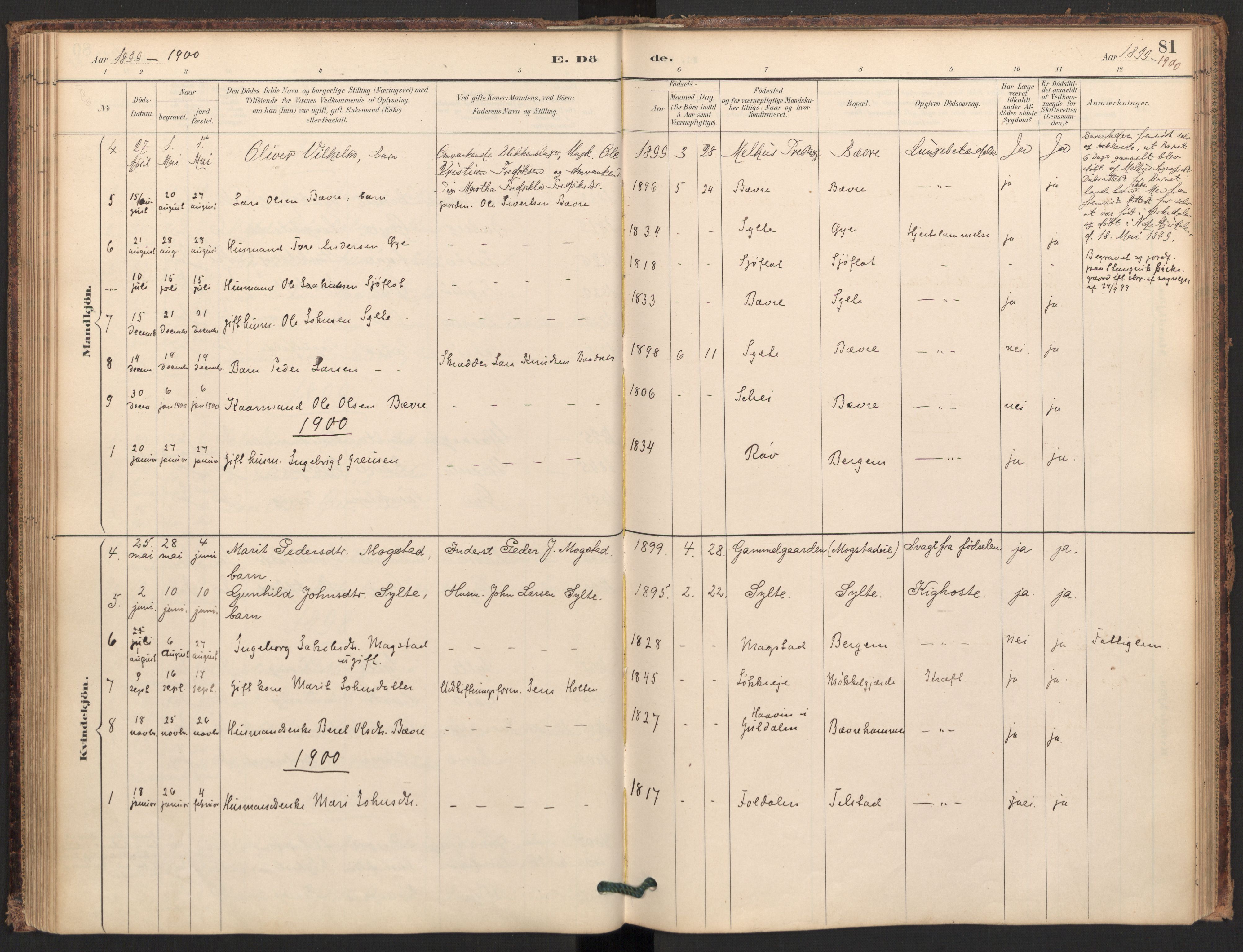 Ministerialprotokoller, klokkerbøker og fødselsregistre - Møre og Romsdal, AV/SAT-A-1454/595/L1047: Parish register (official) no. 595A09, 1885-1900, p. 81